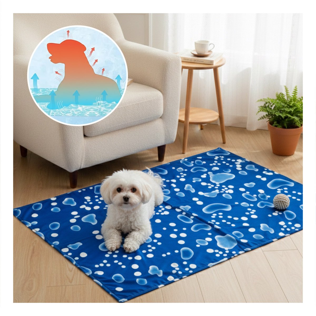 PACK6 ESTERA PARA PERRO QUE BUSCA SUPERFICIE FRESCA 50X90CM L AZUL ESTILO BURBUJAS - 5