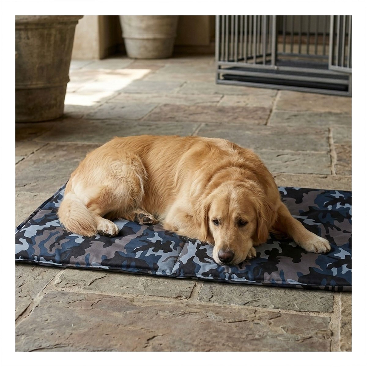 CARPETA QUE MANTIENE COMODOS A MASCOTAS DURANTE DIAS CALIDOS 81X96CM XL MILITAR Y+PAPEL REGALO - 5