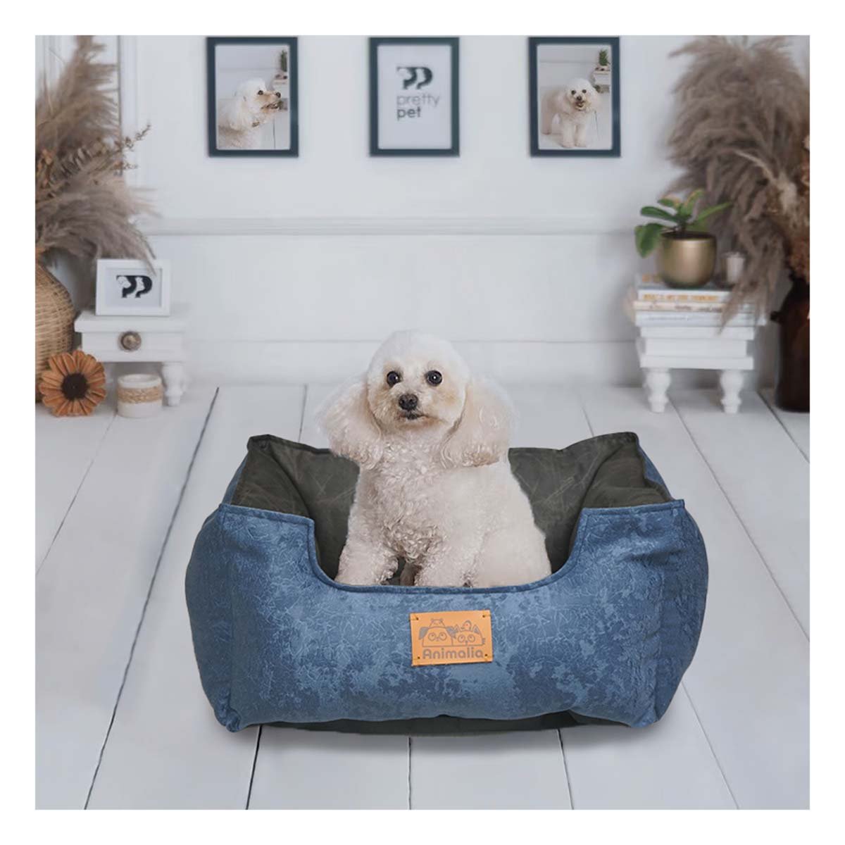 PACK6 CAMA DE TALLA S EN COLOR AZUL LABRADO CENTRO NEGRO PARA MASCOTAS COMODA PARA MASCOTAS - 2