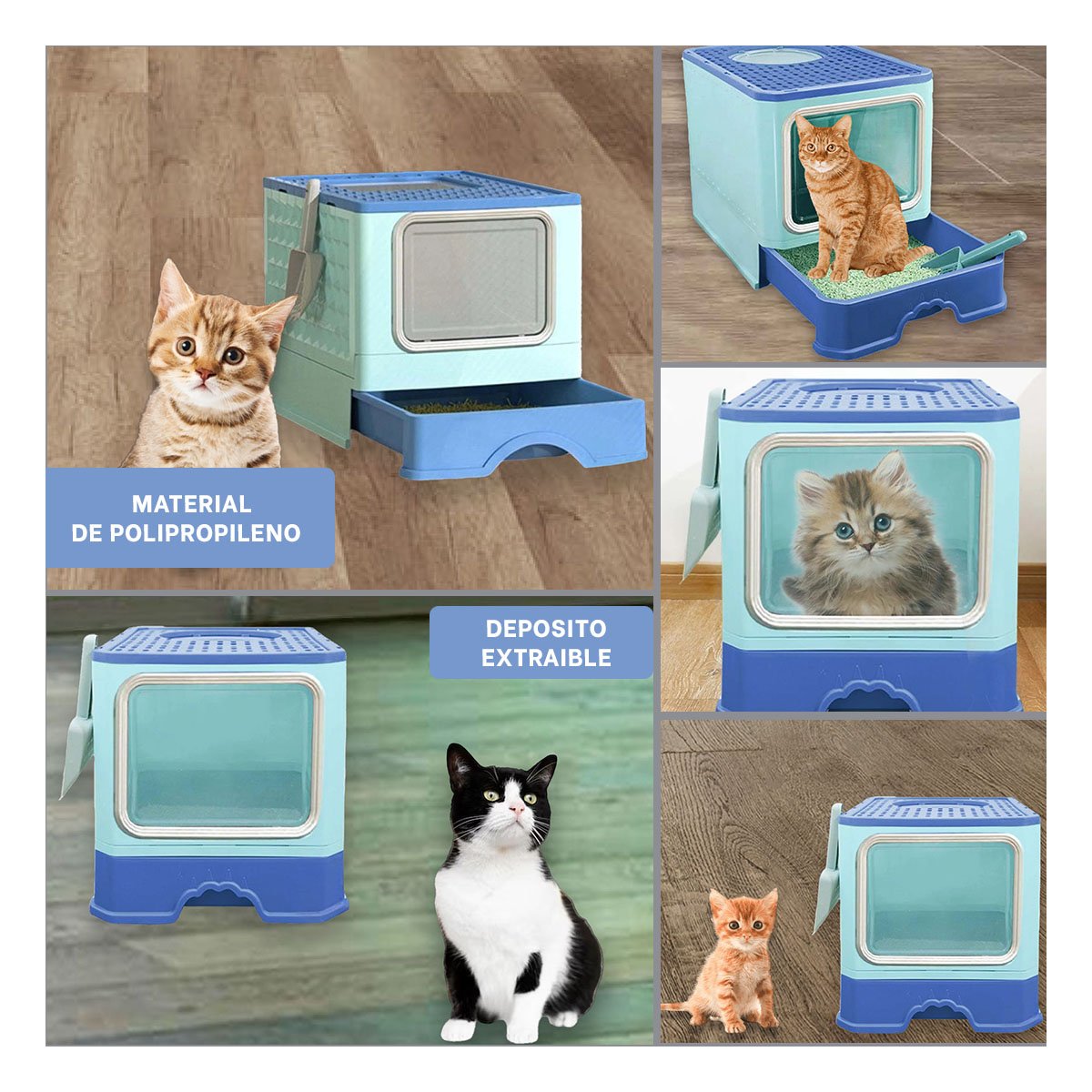 PACK4 CAJA EN CELESTE CON PALA COMBINADA Y SISTEMA COMPACTO DE BANDEJA Y+REGALO STICKER - 2