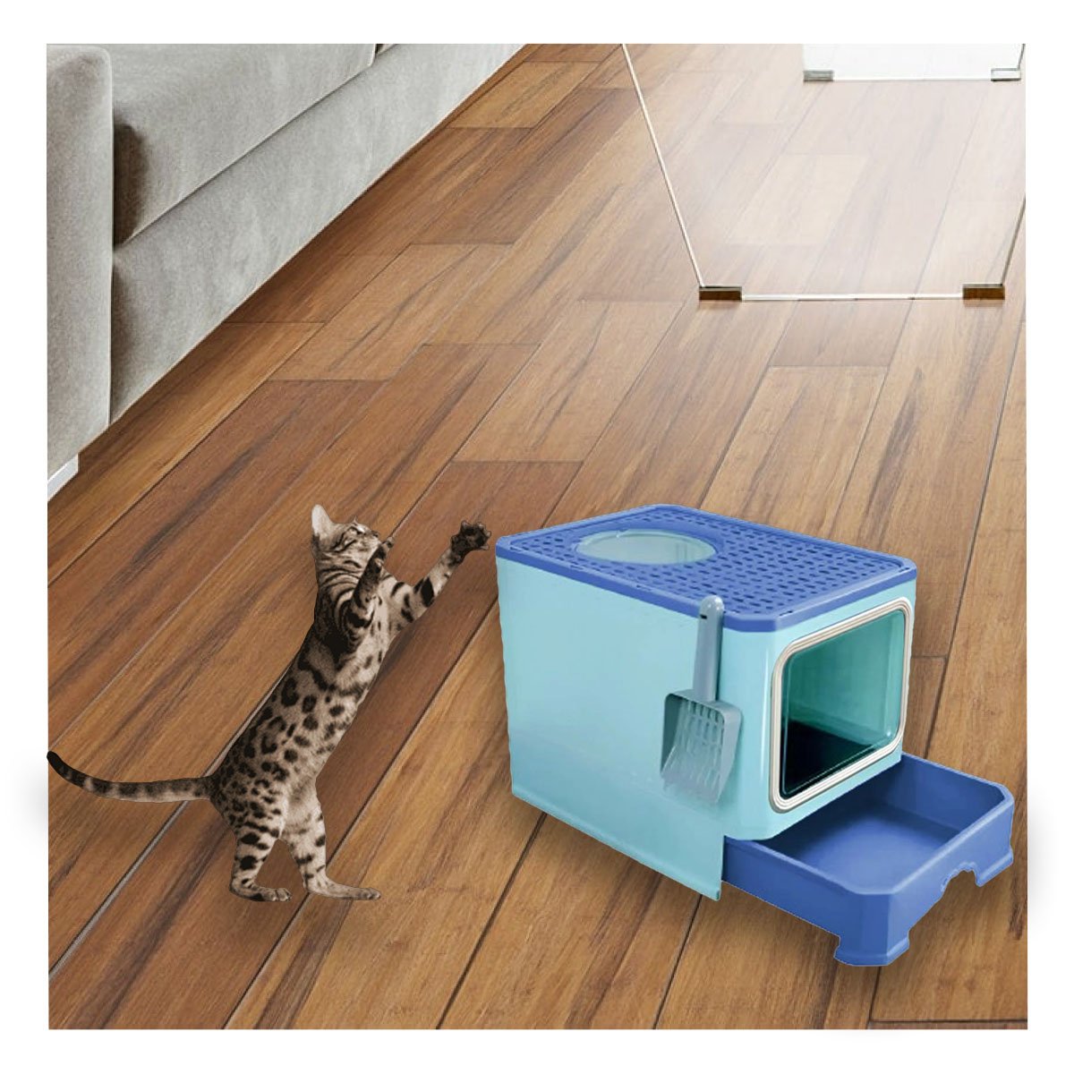 PACK4 CAJA EN CELESTE CON PALA COMBINADA Y SISTEMA COMPACTO DE BANDEJA Y+REGALO STICKER - 5