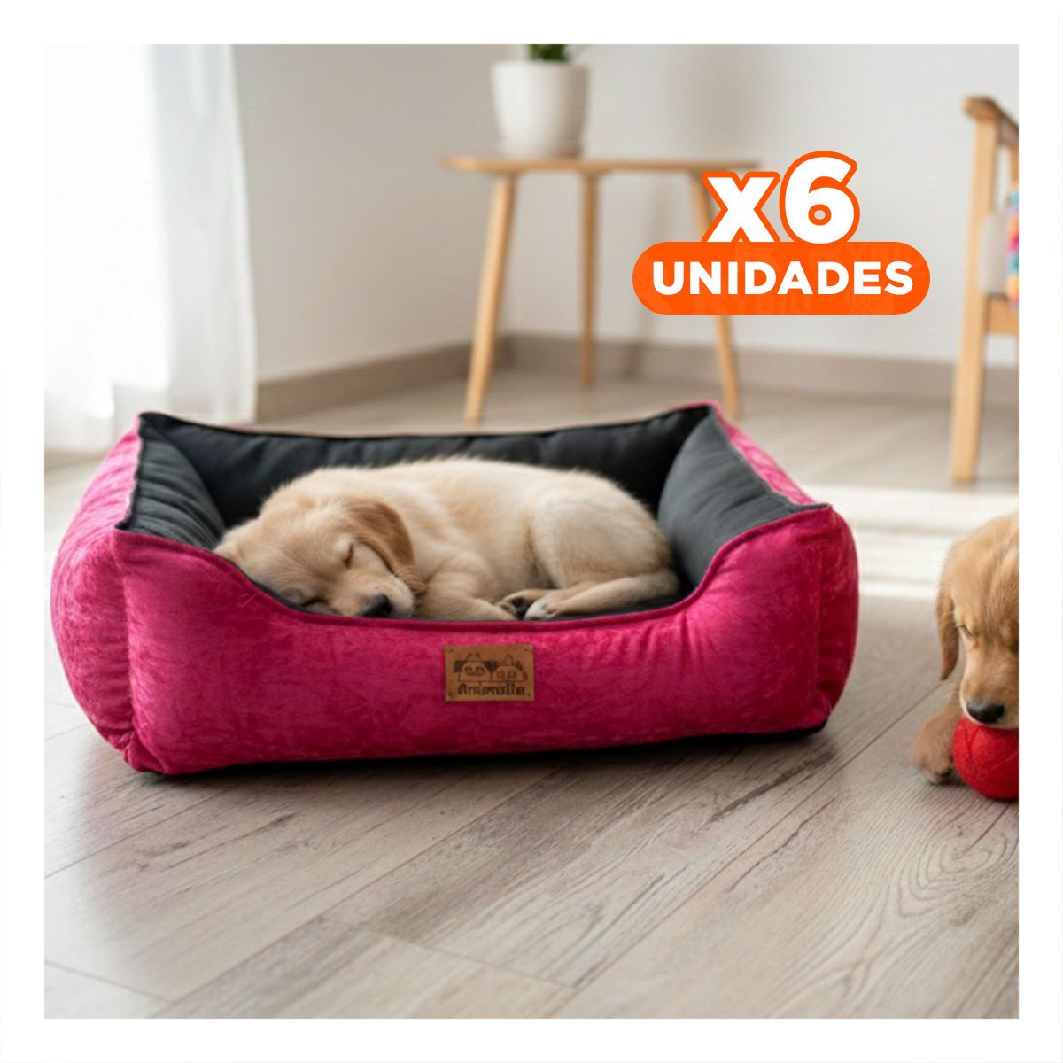 PACK6 ZONA FUCSIA PARA PERRO TALLA S CON CENTRO NEGRO Y+REGALO STICKER - 1