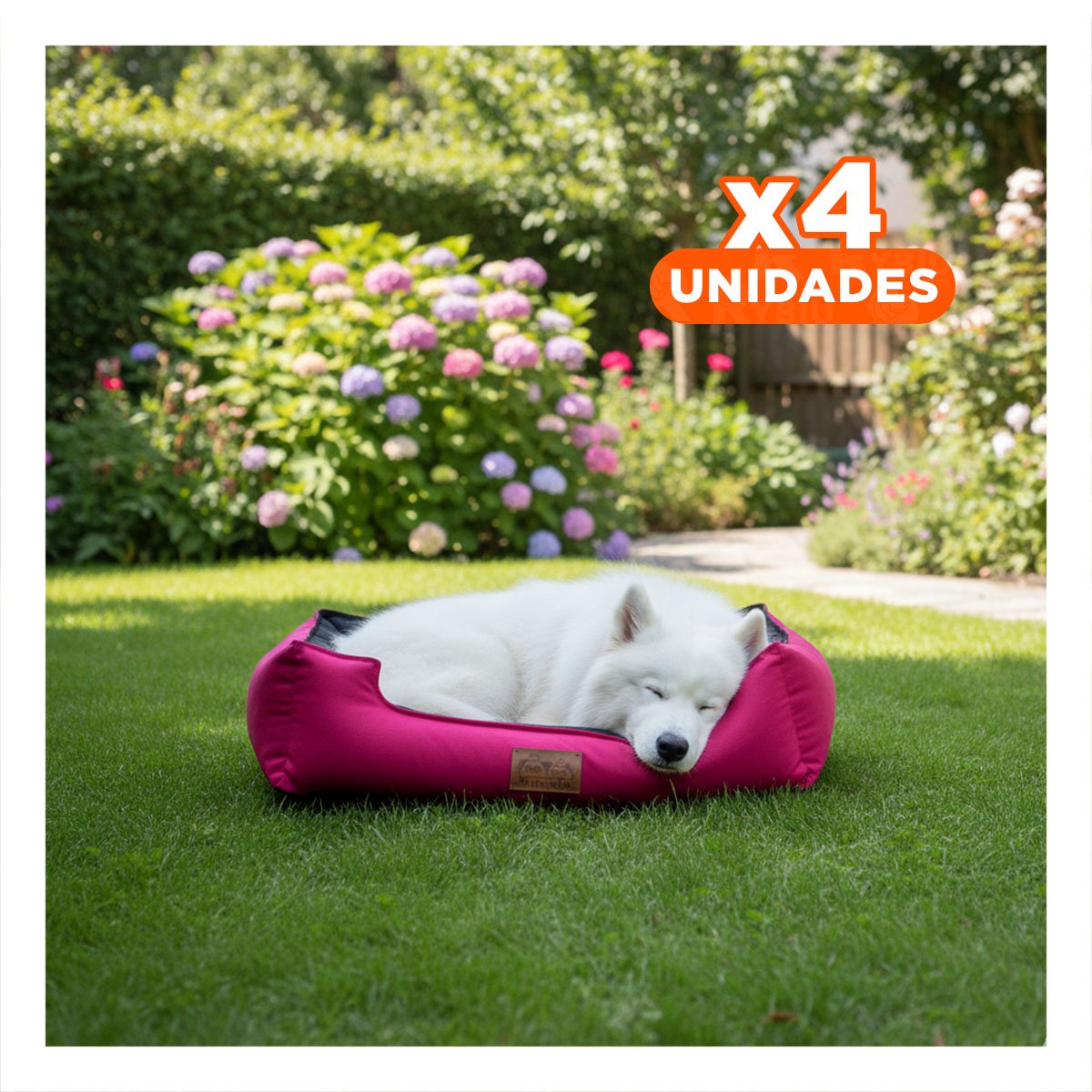 PACK4 BASE FUCSIA PARA PERRO TALLA S CON CENTRO NEGRO - 1
