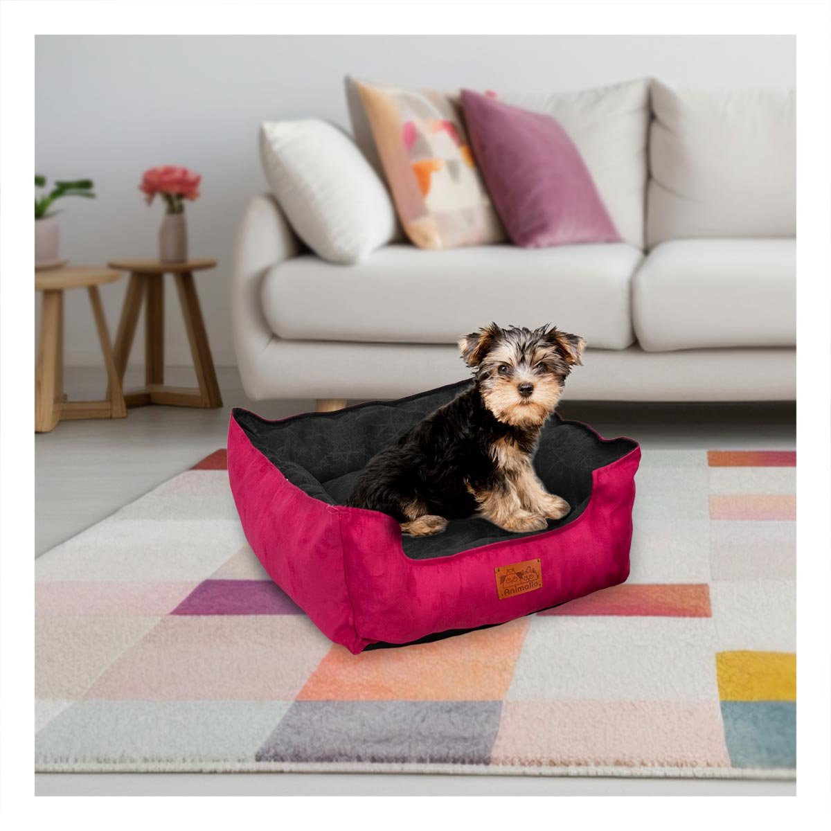 PACK4 BASE FUCSIA PARA PERRO TALLA S CON CENTRO NEGRO - 5