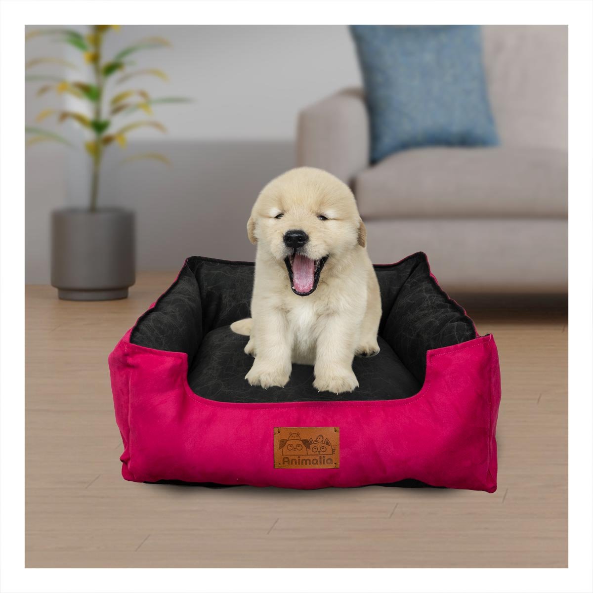 UNIDAD DE DESCANSO PARA PERRO TALLA S FUCSIA CENTRO NEGRO Y+REGALO STICKER - 2