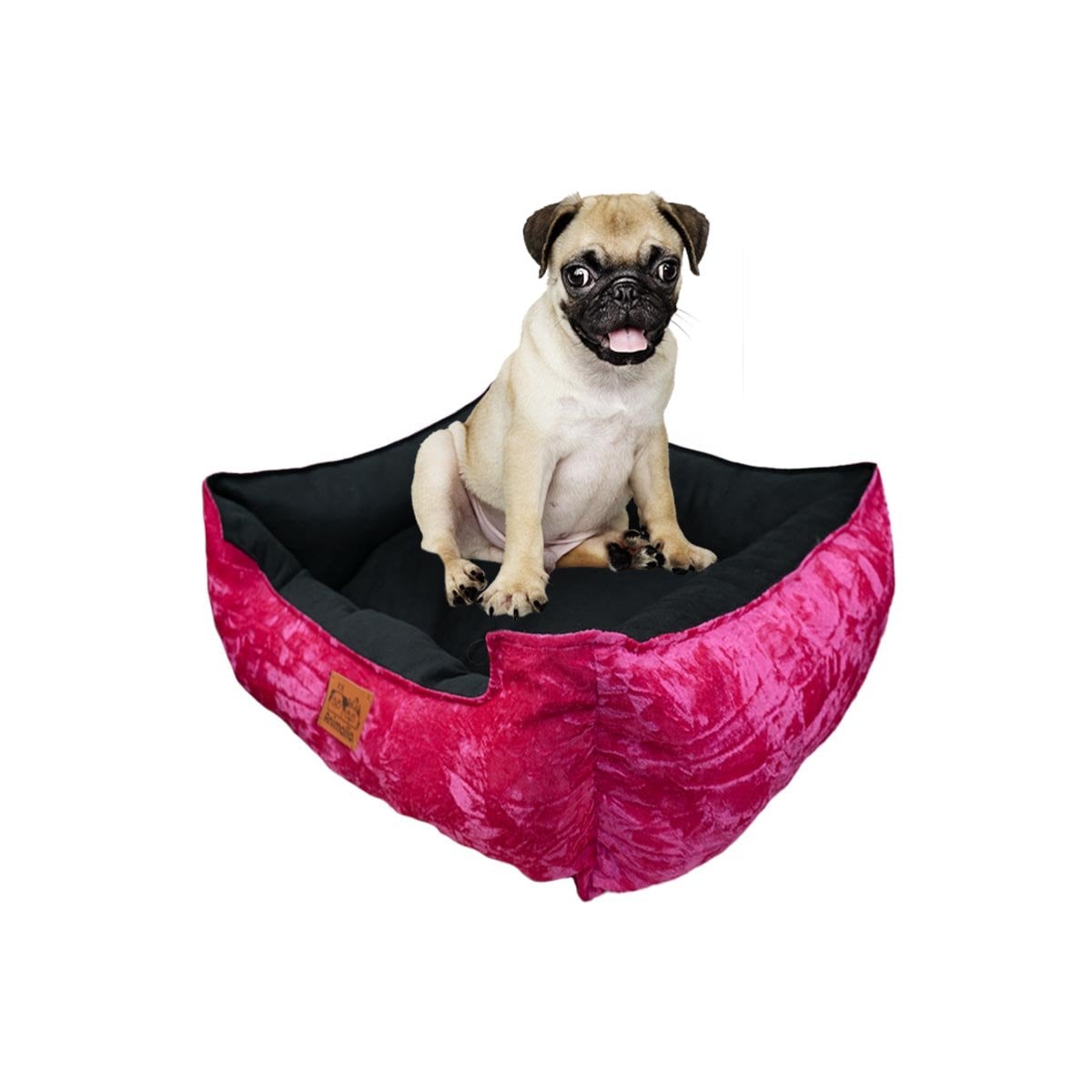 SOPORTE ACOLCHADO PARA PERRO TALLA S FUCSIA CENTRO NEGRO Y+PAPEL REGALO - 1