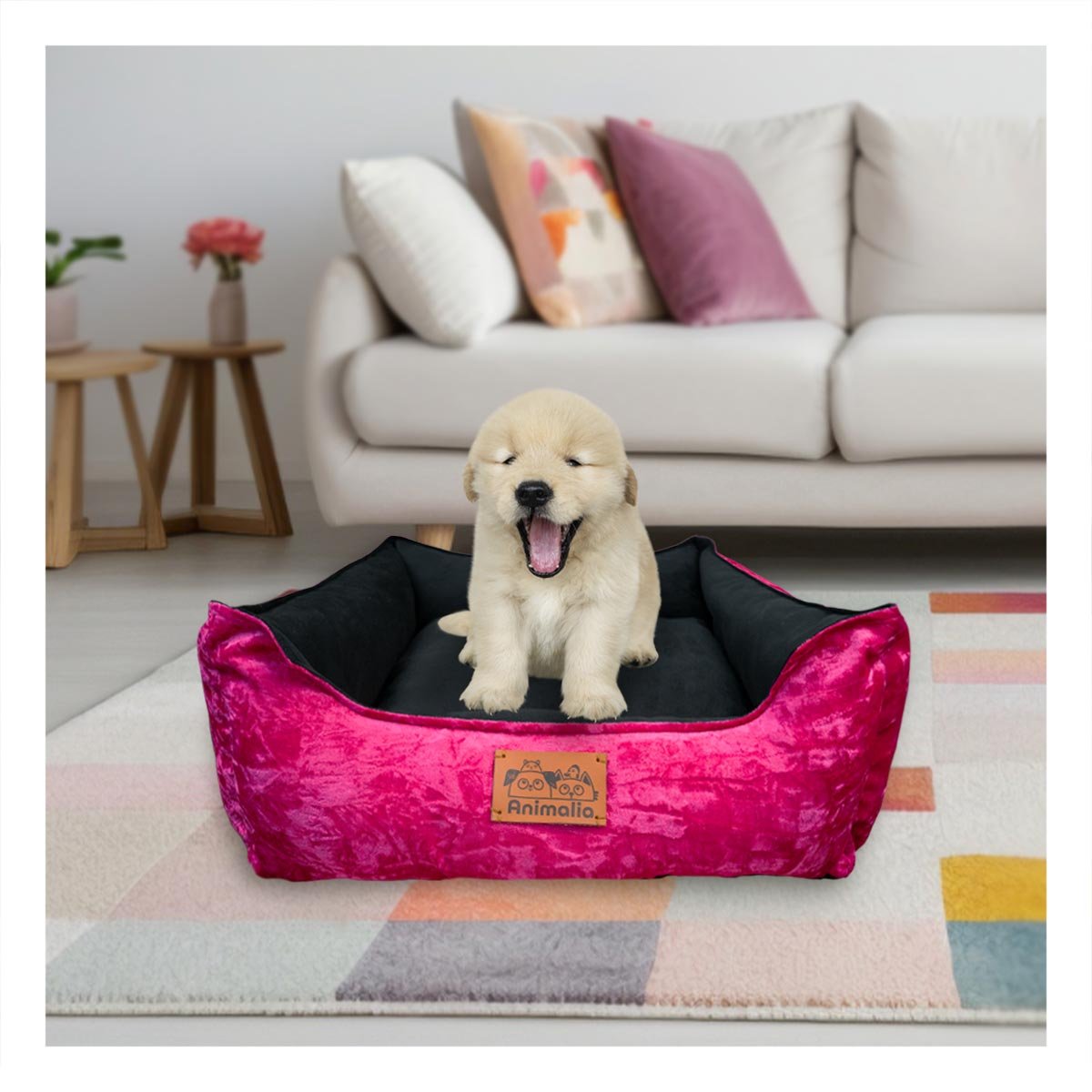 SOPORTE ACOLCHADO PARA PERRO TALLA S FUCSIA CENTRO NEGRO Y+PAPEL REGALO - 5