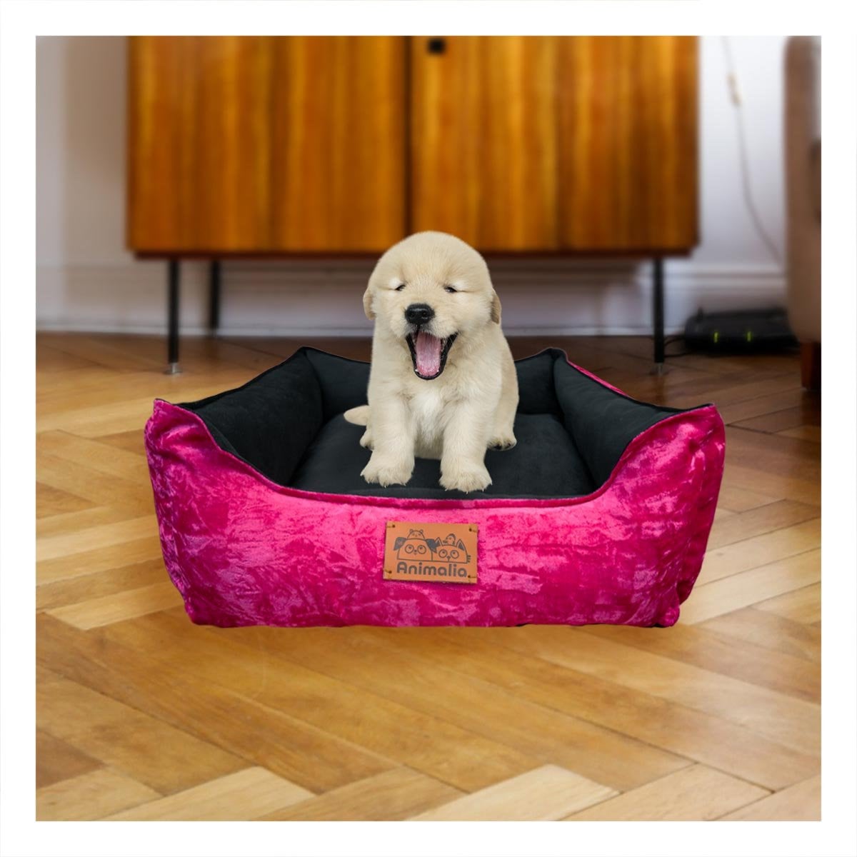 PACK2 DESCANSO FUCSIA PARA PERRO TALLA S CON CENTRO NEGRO Y+REGALO STICKER - 3