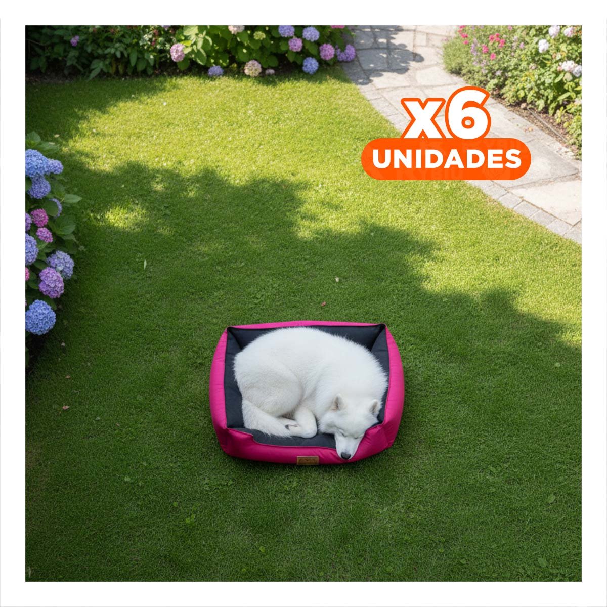 PACK6 ZONA FUCSIA PARA PERRO TALLA S CON CENTRO NEGRO Y+REGALO STICKER - 1