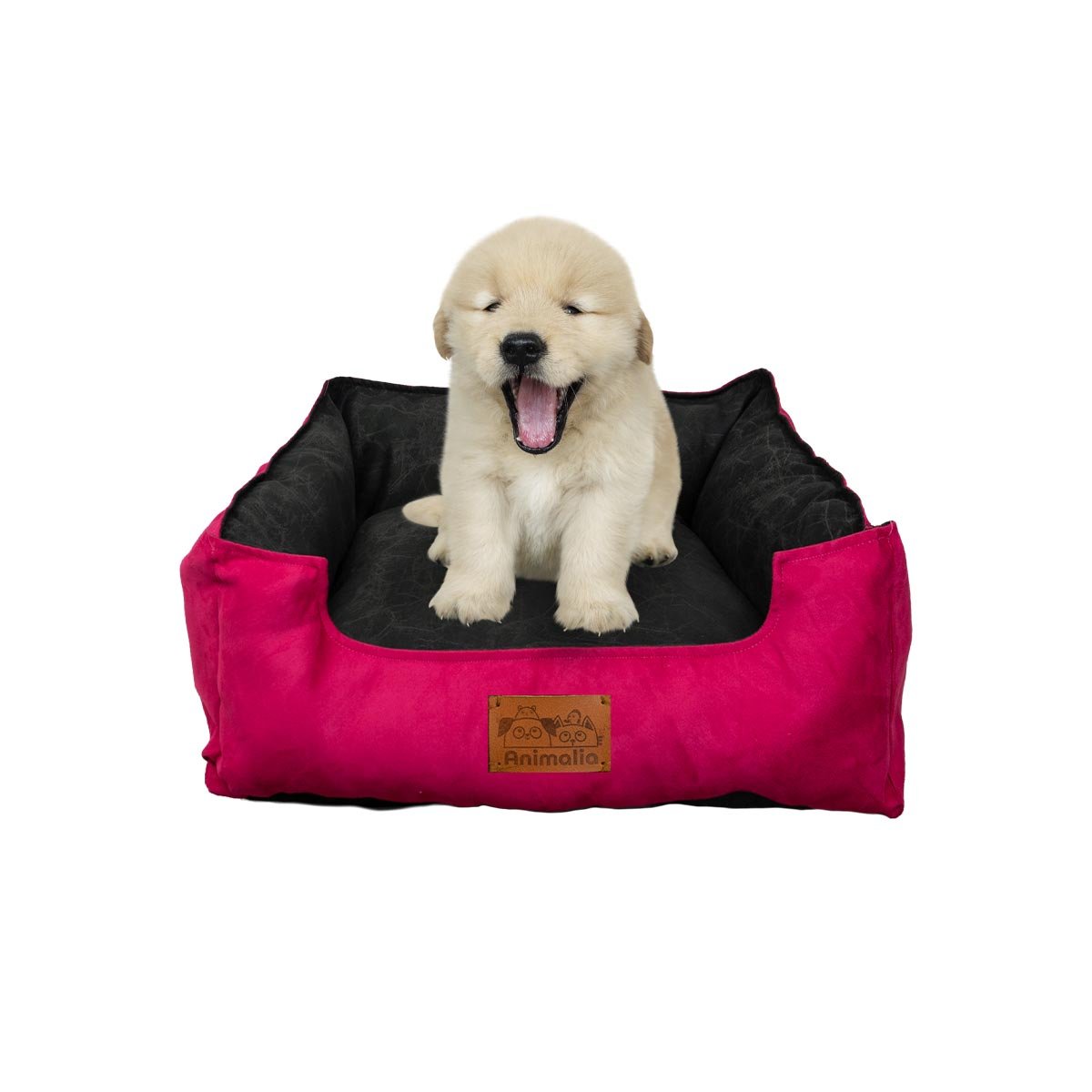PACK6 ZONA FUCSIA PARA PERRO TALLA S CON CENTRO NEGRO Y+REGALO STICKER - 2