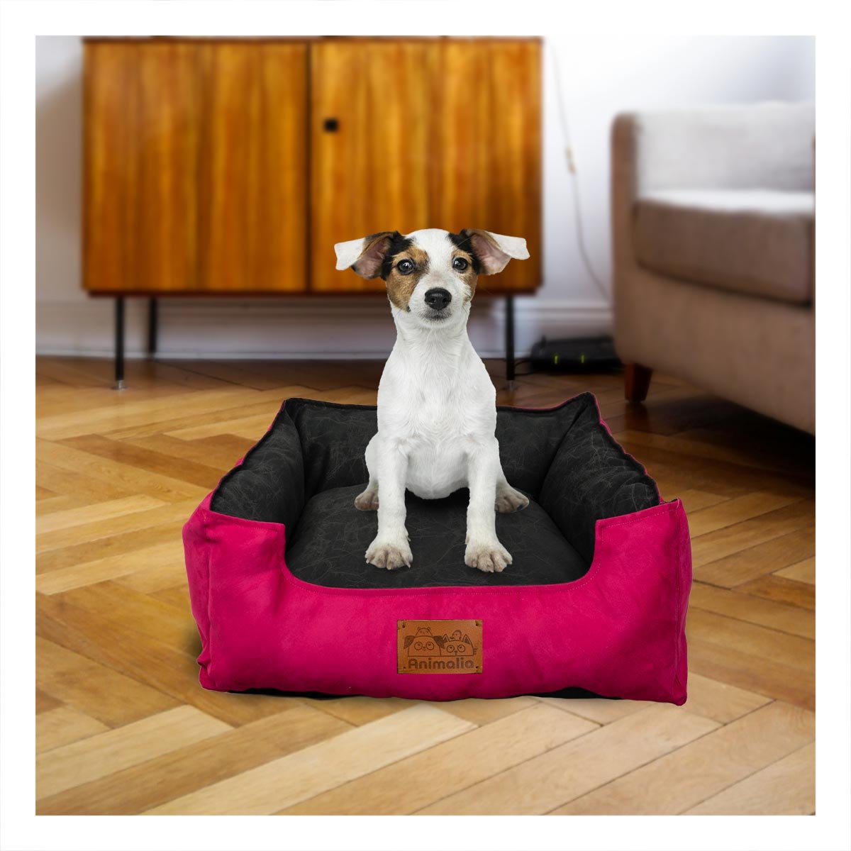 PACK6 ZONA FUCSIA PARA PERRO TALLA S CON CENTRO NEGRO Y+REGALO STICKER - 5