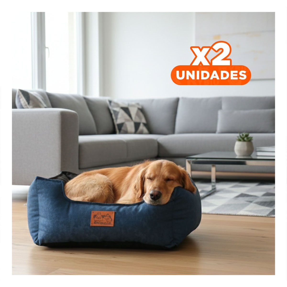 PACK2 BASE DE TALLA S EN COLOR AZUL LABRADO Y CENTRO NEGRO PARA MASCOTAS Y+REGALO STICKER - 1