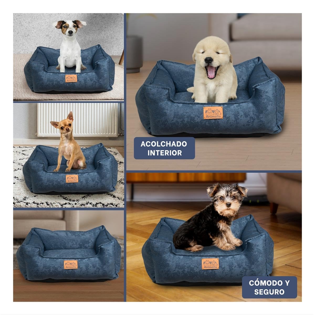 PACK2 BASE EN COLOR COMPLETO DE AZUL LABRADO PARA MASCOTAS Y DE TALLA S Y+PAPEL REGALO - 3