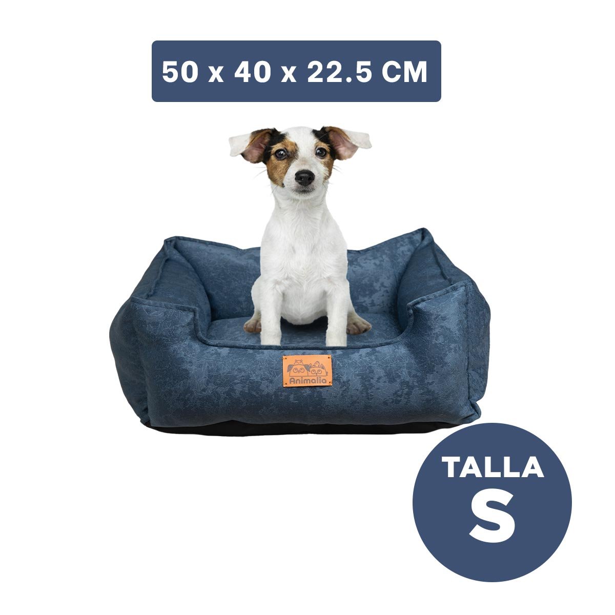 PACK2 BASE EN COLOR COMPLETO DE AZUL LABRADO PARA MASCOTAS Y DE TALLA S Y+PAPEL REGALO - 4