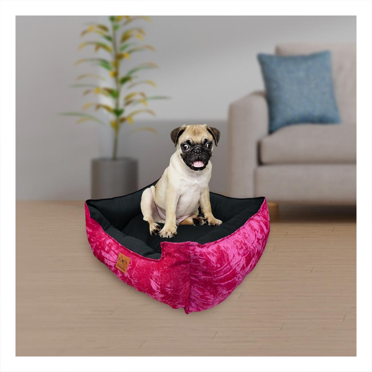 PACK4 NIDO FUCSIA PARA PERRO TALLA S CON CENTRO NEGRO Y+REGALO STICKER - 5