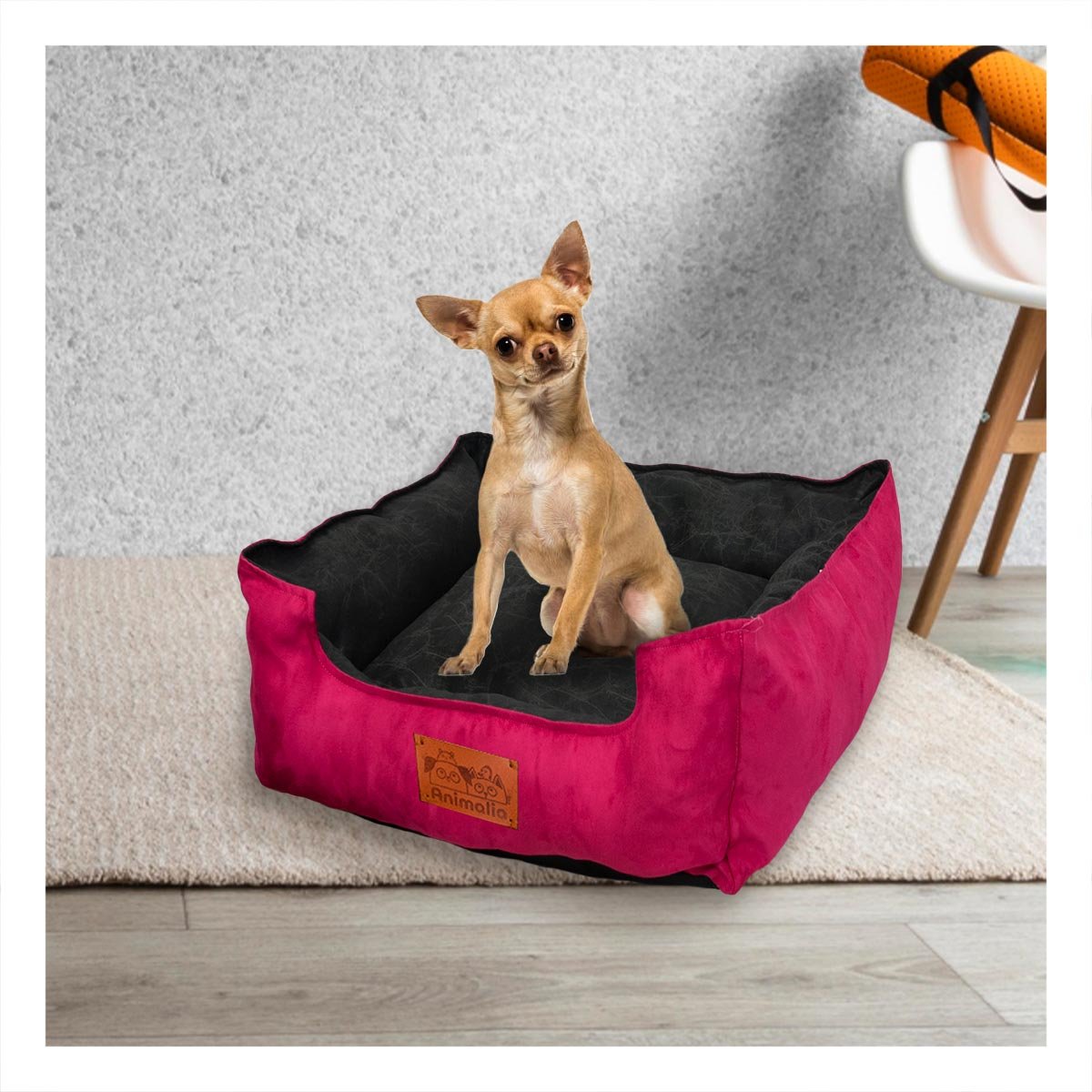 PACK6 SUPERFICIE FUCSIA PARA PERRO TALLA S CON CENTRO NEGRO - 2