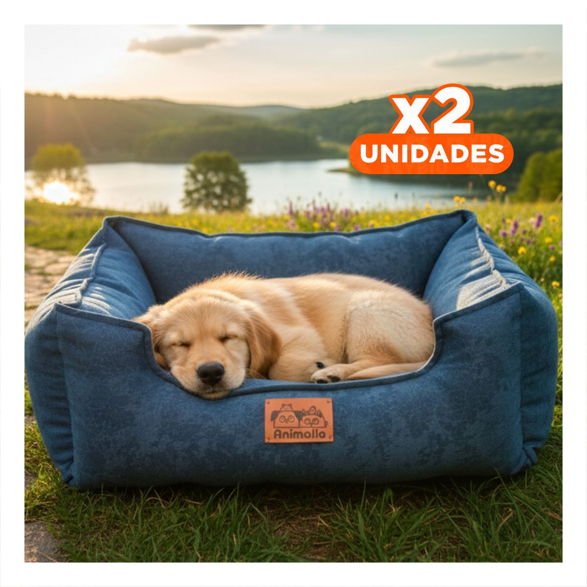 PACK2 BASE DE TALLA S EN COLOR COMPLETO DE AZUL LABRADO PARA MASCOTAS Y+REGALO STICKER - 1