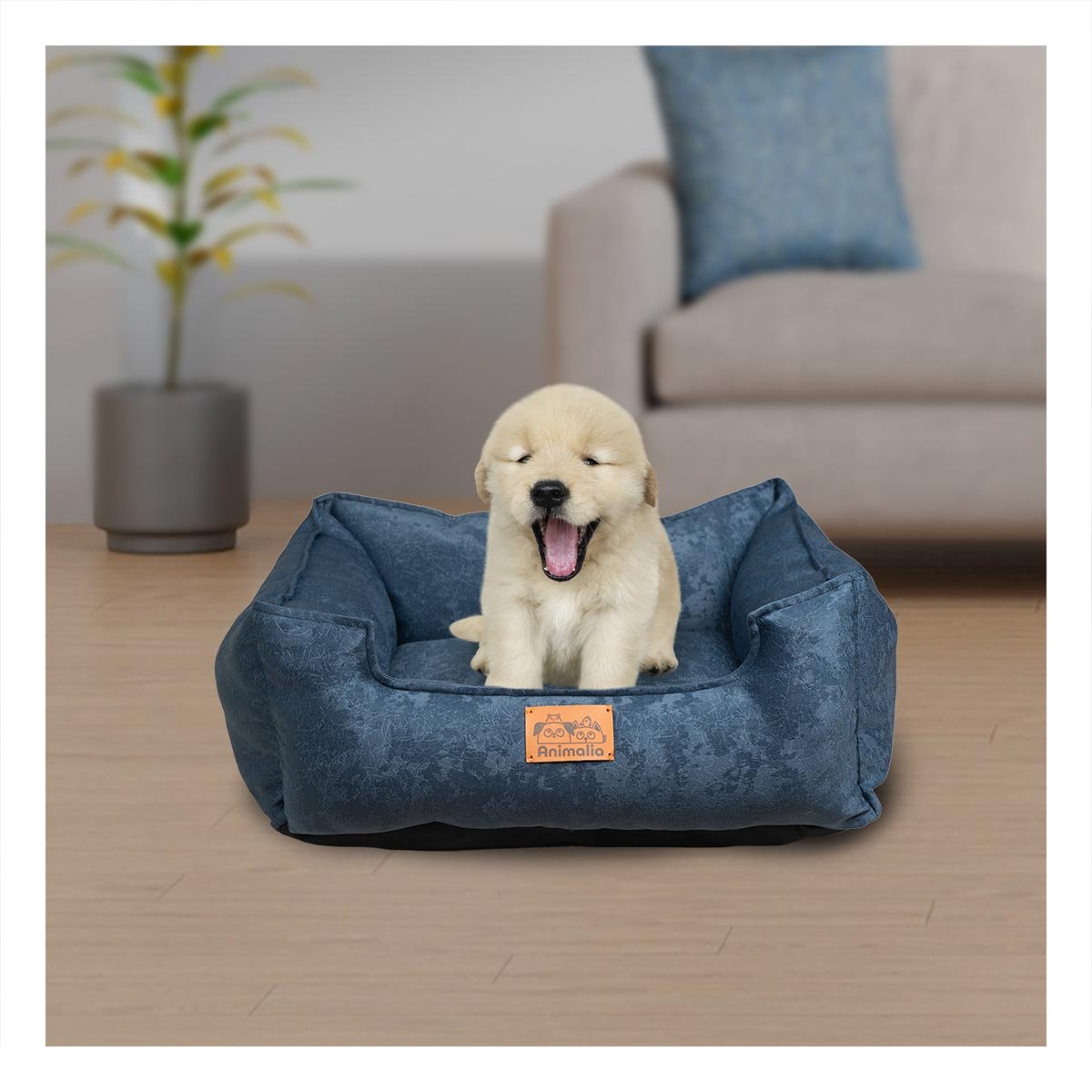 PACK2 BASE DE TALLA S EN COLOR COMPLETO DE AZUL LABRADO PARA MASCOTAS Y+REGALO STICKER - 3