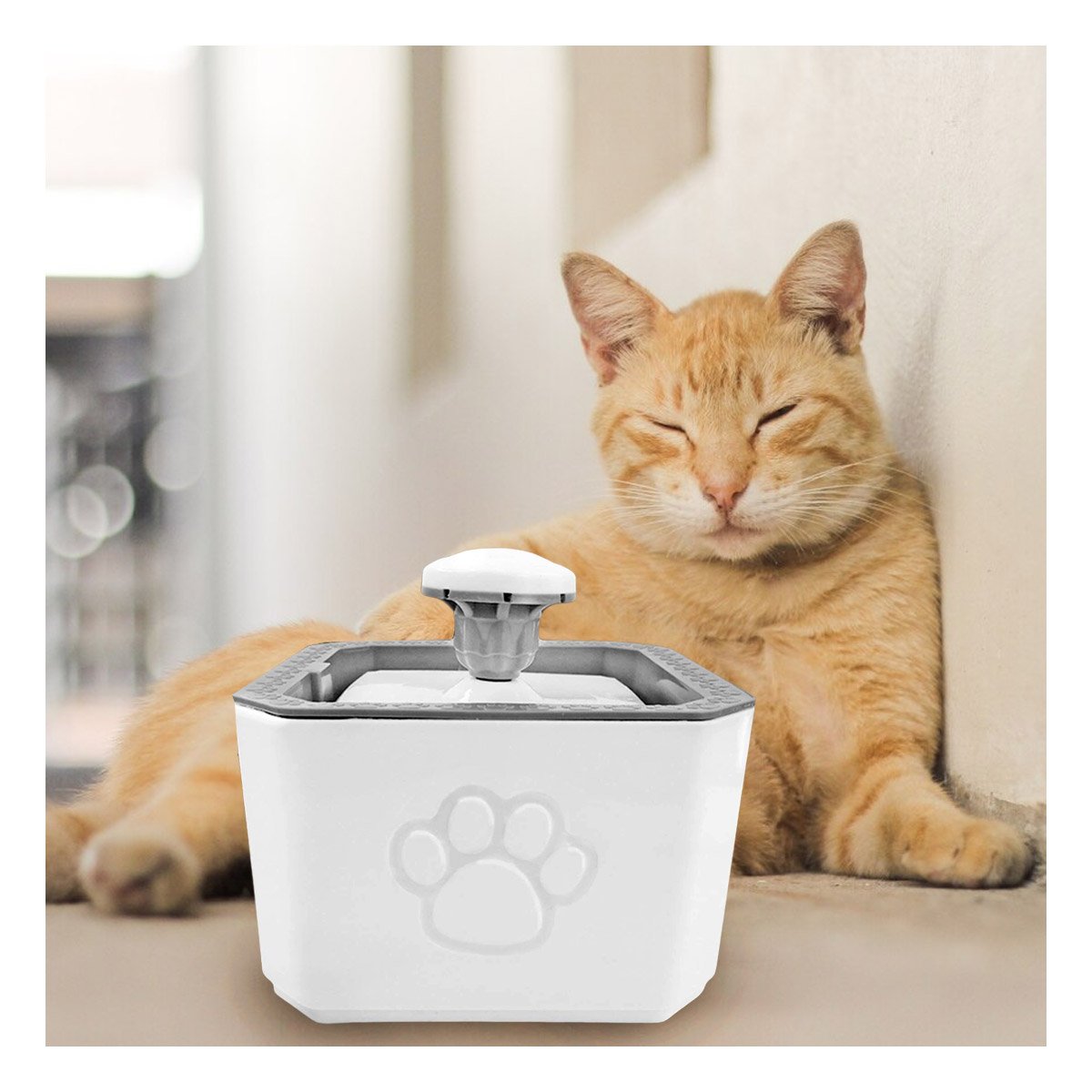 PACK2 FUENTE CON AGUA FORMA DE HUELLITA Y CUADRADO DE COLOR PLOMO Y BLANCO PARA MASCOTAS - 2