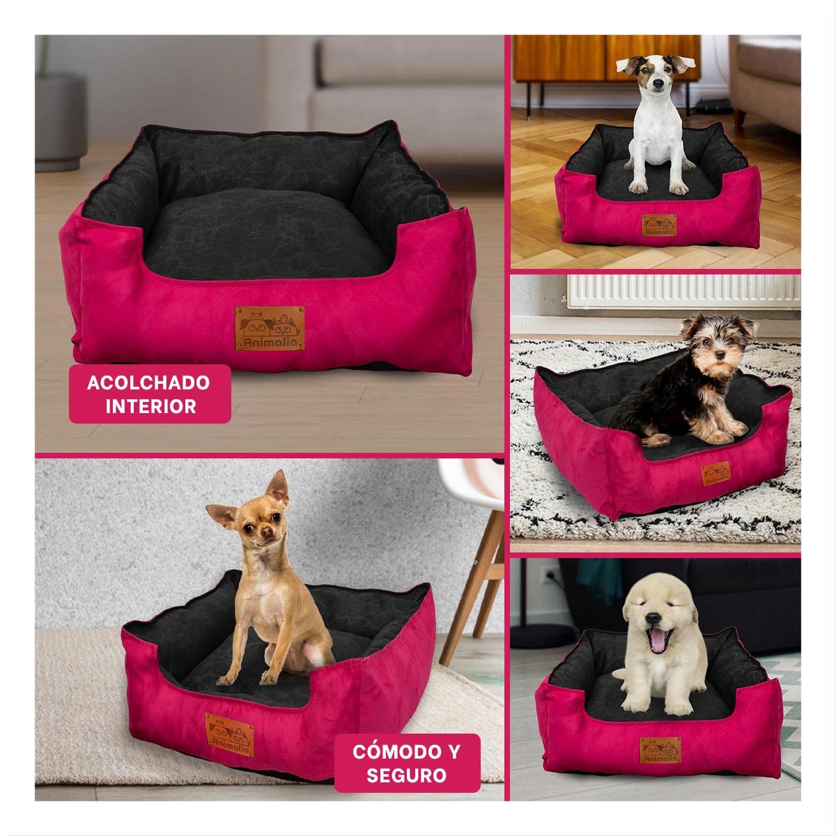 PACK4 NIDO FUCSIA PARA PERRO TALLA S CON CENTRO NEGRO Y+REGALO STICKER - 2