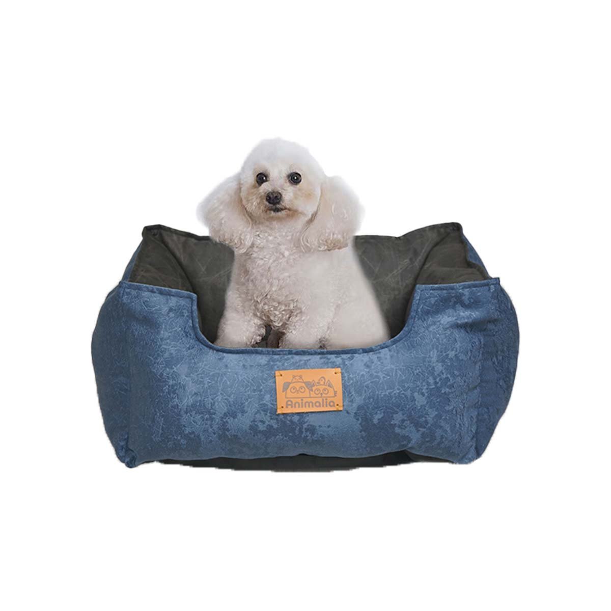 COLCHONETA EN COLOR AZUL LABRADO CON DE TALLA S Y CENTRO NEGRO PARA MASCOTAS Y+PAPEL REGALO - 1