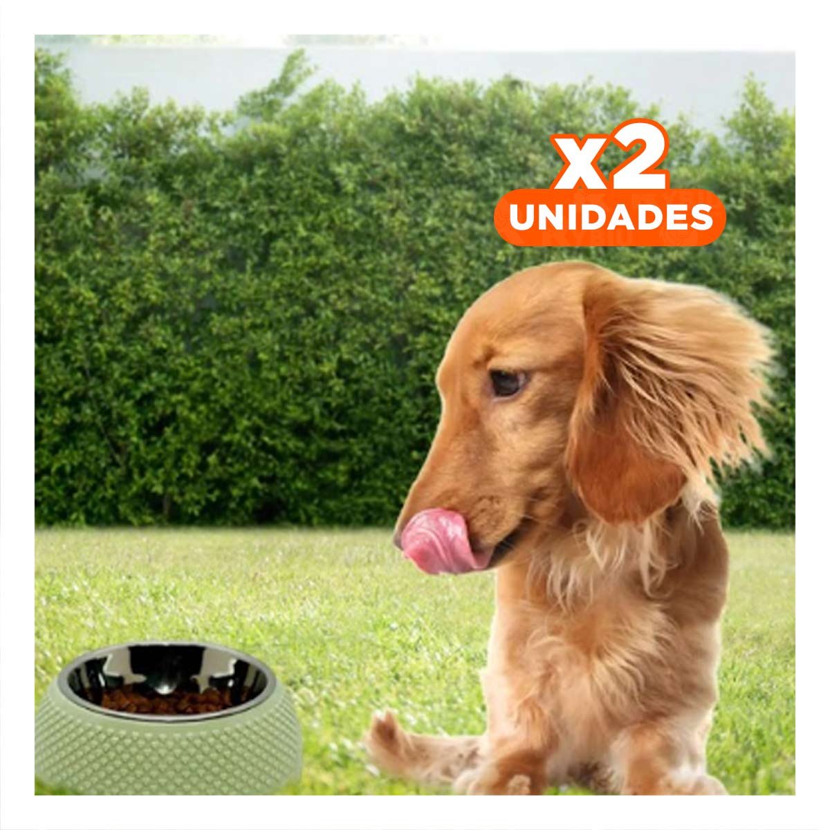 PACK2 PLATO DESMONTABLE DE ACERO VERDE PASTEL CON CORAZONES EN RELIEVE FACIL Y+REGALO STICKER - 1