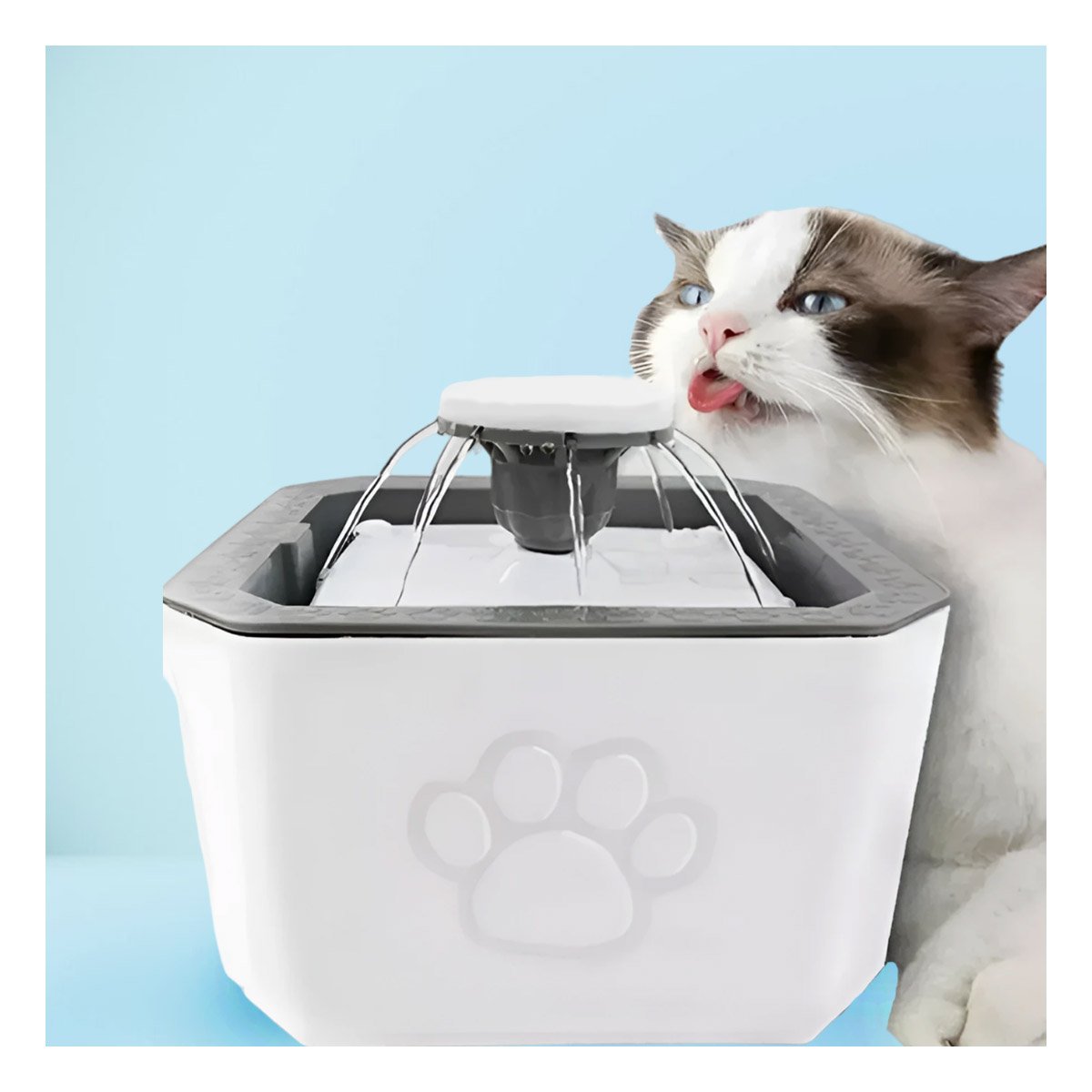 PACK6 FUENTE CUADRADA CON AGUA Y FORMA DE HUELLITA BLANCA Y PLOMO PARA MASCOTAS - 3