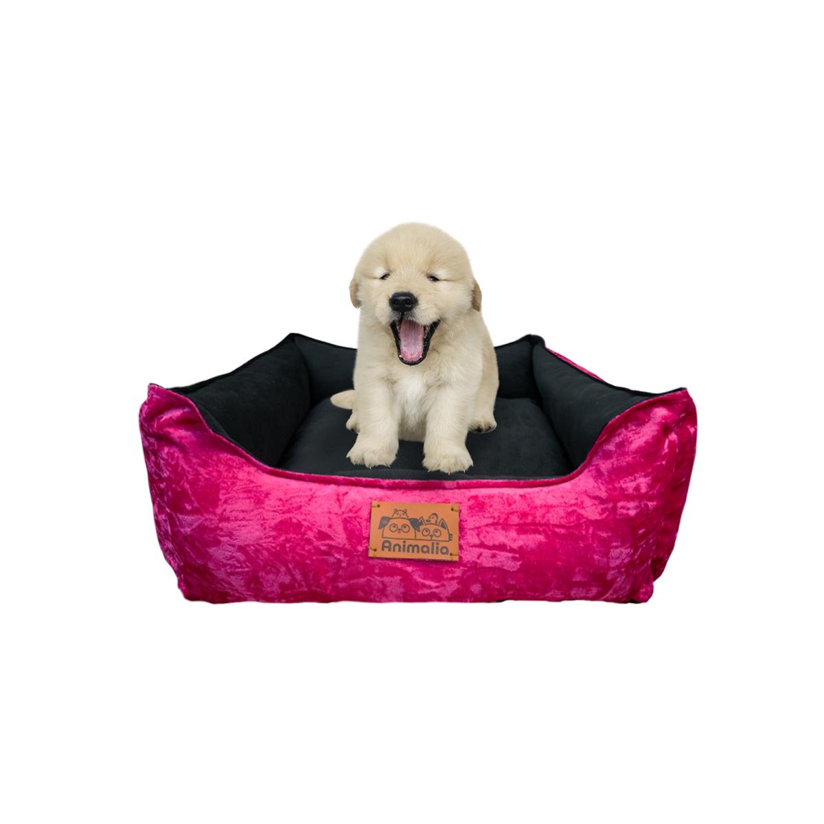 PACK4 ESPACIO FUCSIA PARA PERRO TALLA S CON CENTRO NEGRO Y+PAPEL REGALO - 3