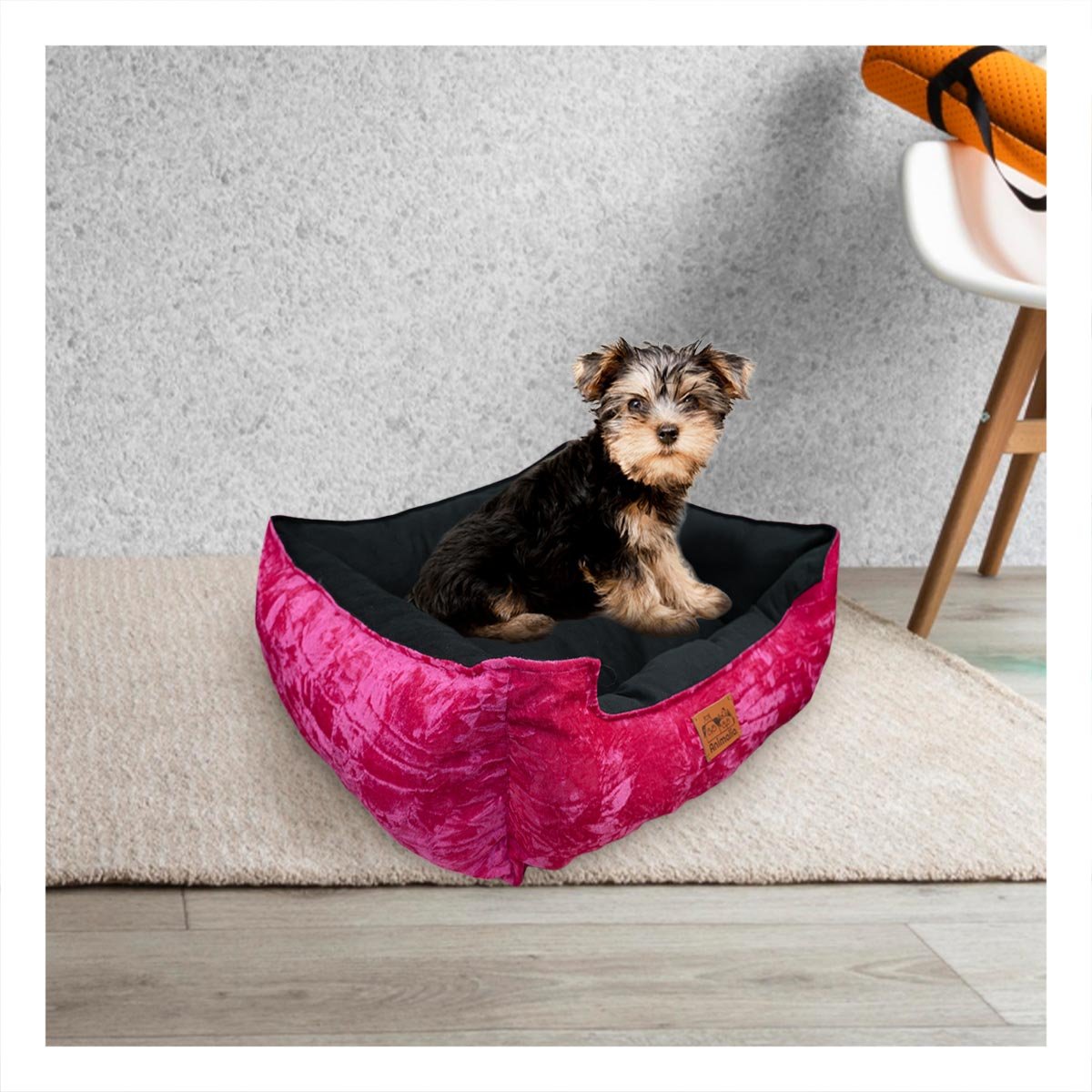 PACK4 ESPACIO FUCSIA PARA PERRO TALLA S CON CENTRO NEGRO Y+PAPEL REGALO - 5