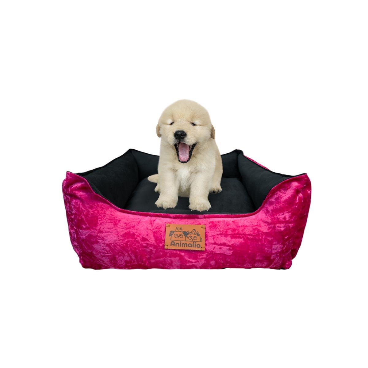 UNIDAD DE DESCANSO PARA PERRO TALLA S FUCSIA CENTRO NEGRO Y+REGALO STICKER - 3