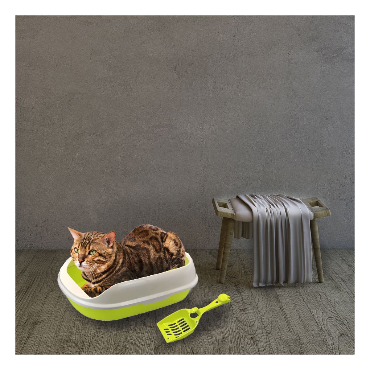 CONTENEDOR DE LADOS MEDIOS ALTOS CON PALA CERNIDORA VERDE DE 47X33X18CM Y+PAPEL REGALO - 5
