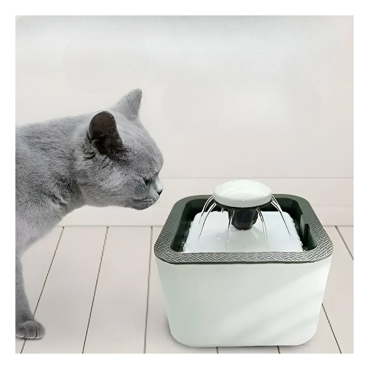 PACK4 DISPENSADOR BLANCO CON FORMA DE HUELLITA Y AGUA PLOMO CUADRADO PARA MASCOTAS - 5