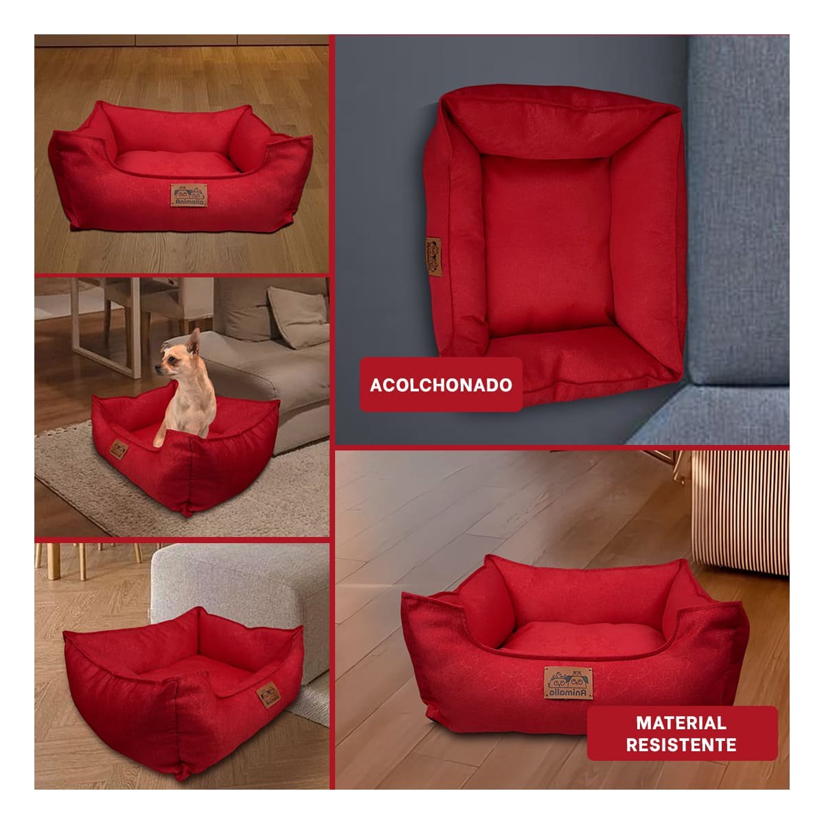 PACK4 NIDO ROJO PARA PERRO TALLA S CON COMPLETO Y+REGALO STICKER - 2