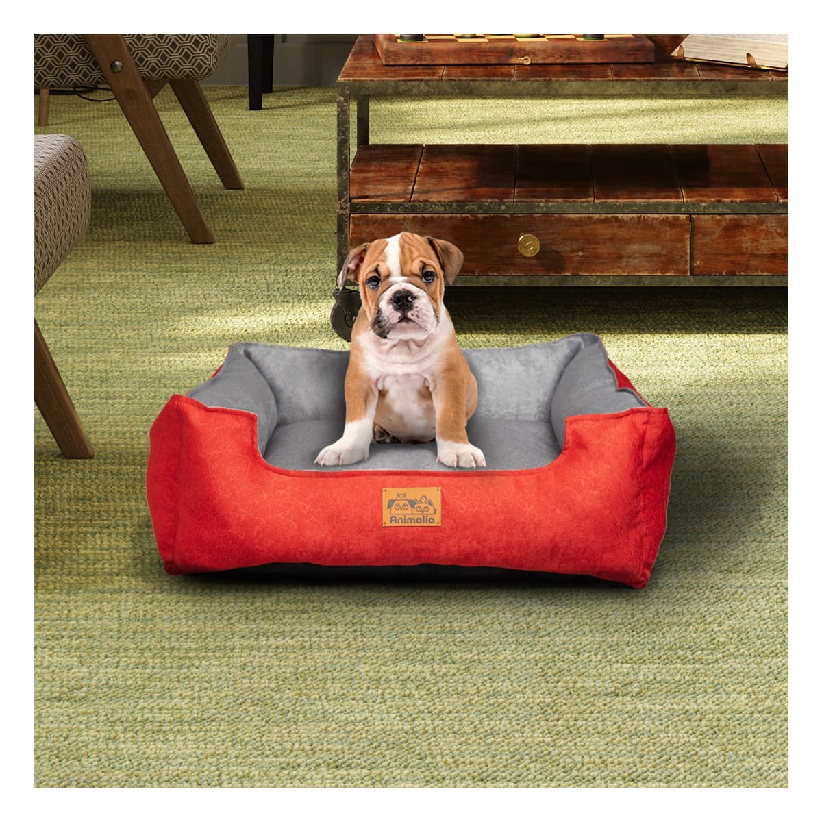 PACK6 AREA ROJO LABRADO PARA PERRO TALLA S CON CENTRO PLOMO Y+PAPEL REGALO - 2