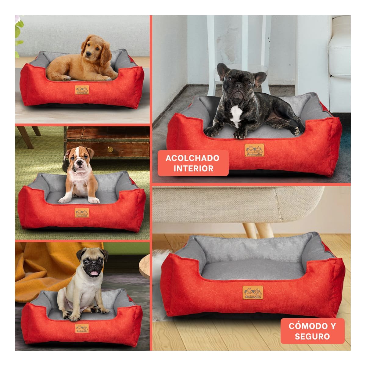 PACK6 AREA ROJO LABRADO PARA PERRO TALLA S CON CENTRO PLOMO Y+PAPEL REGALO - 3