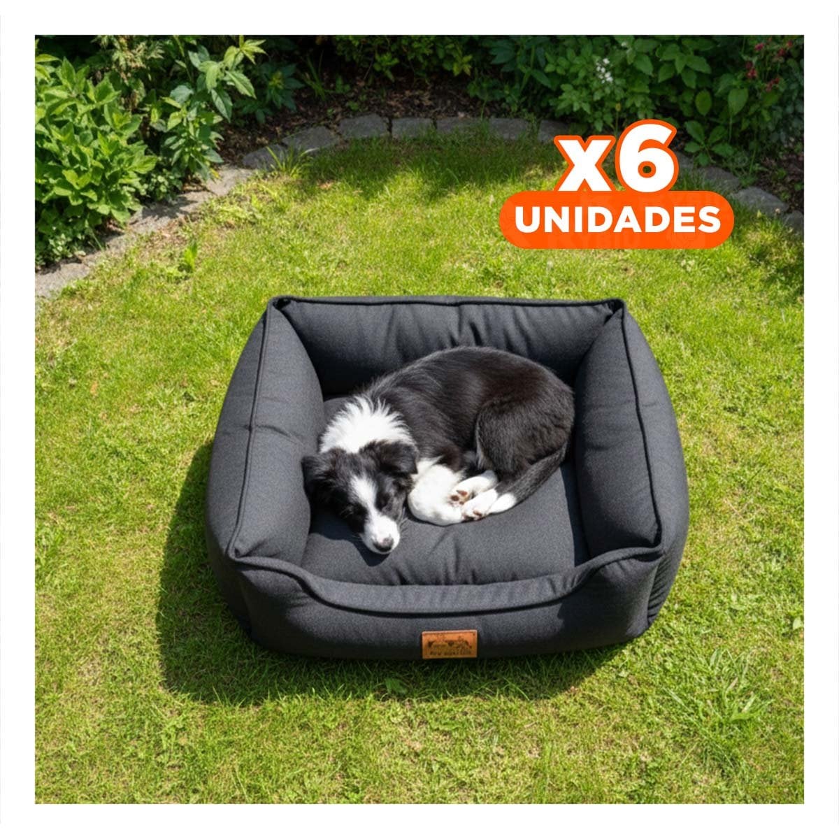 PACK6 ZONA NEGRO PARA PERRO TALLA S CON COMPLETO Y+REGALO STICKER - 1