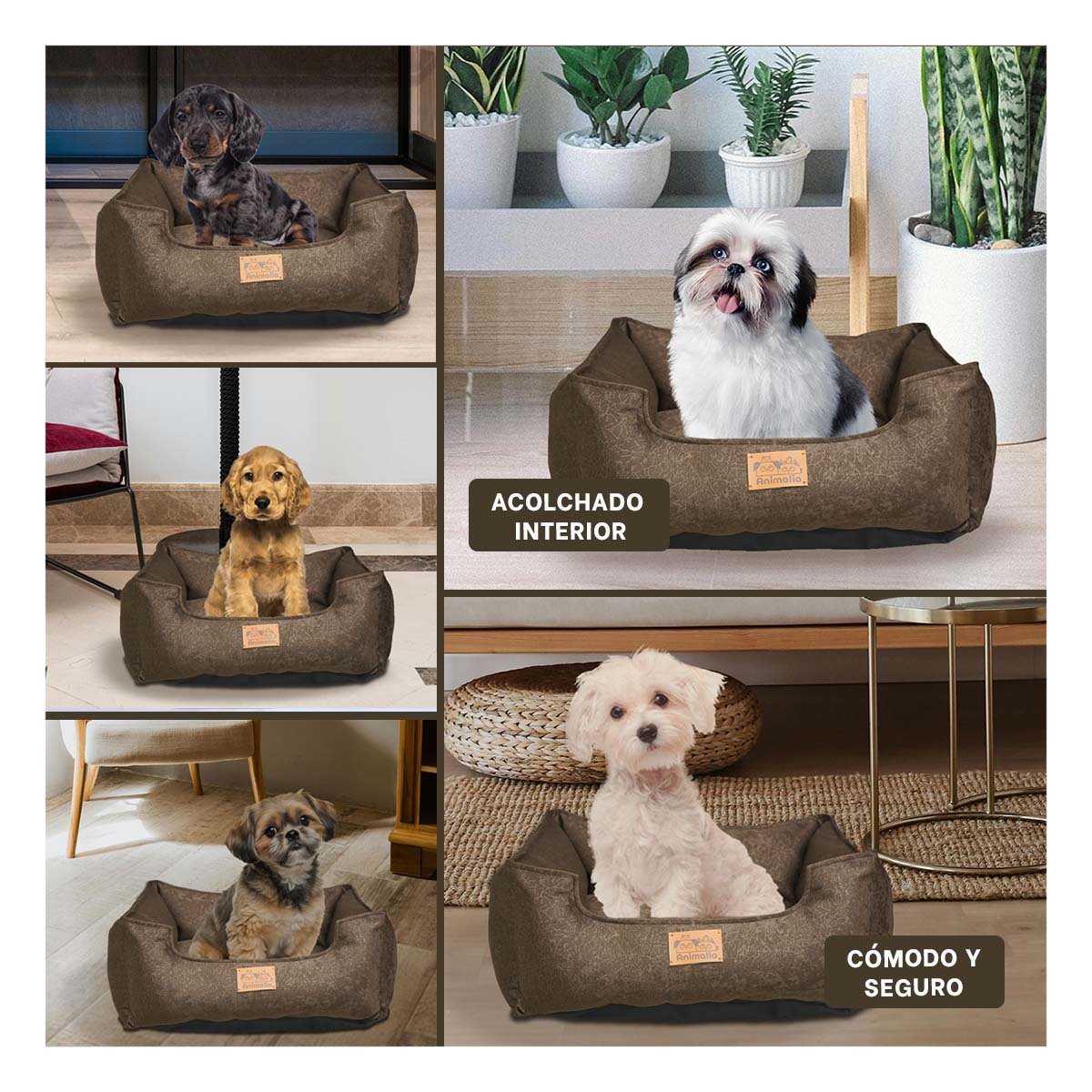 PACK6 AREA MARRON PARA PERRO TALLA S CON COMPLETO Y+PAPEL REGALO - 3