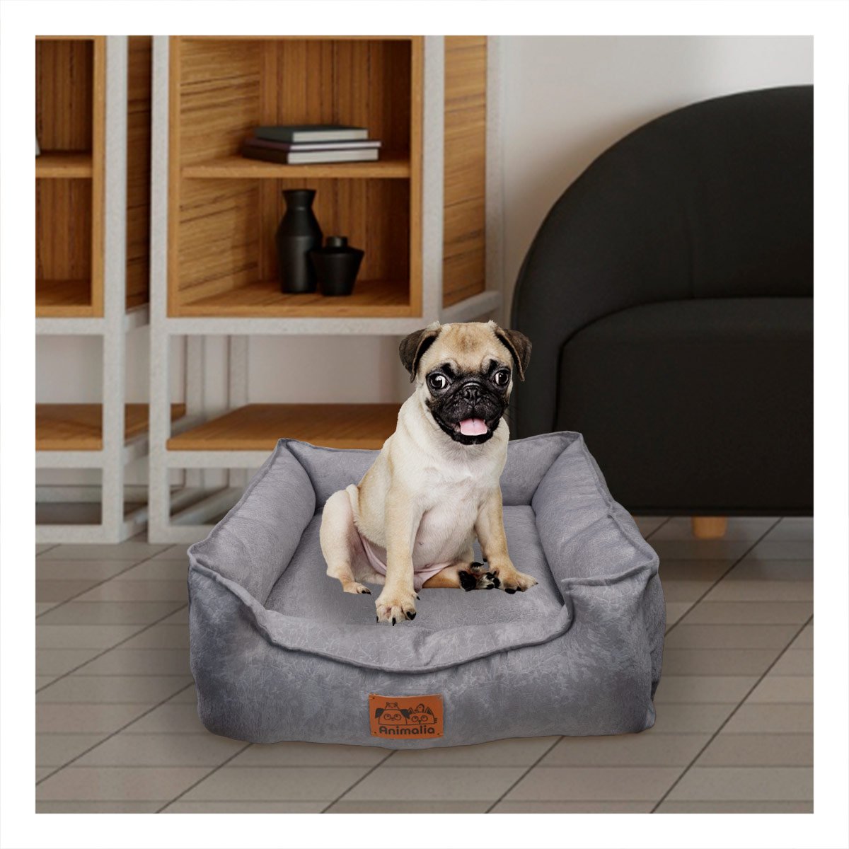 PACK6 AREA PLOMO PARA PERRO TALLA S CON COMPLETO Y+PAPEL REGALO - 2