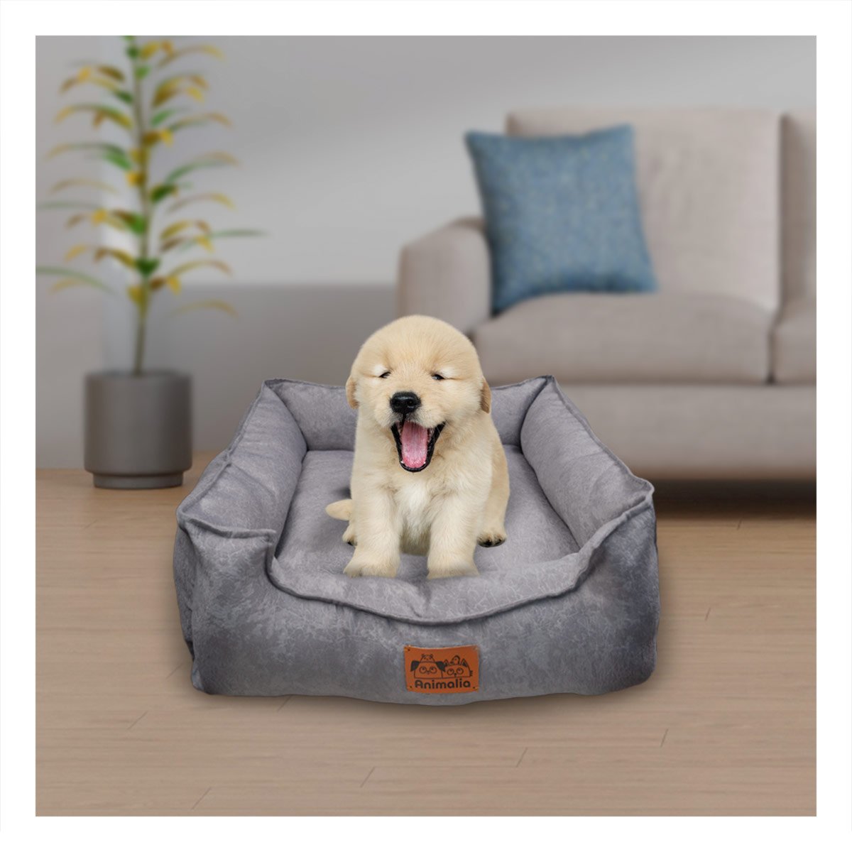 PACK6 SUPERFICIE PLOMO PARA PERRO TALLA S CON COMPLETO - 3