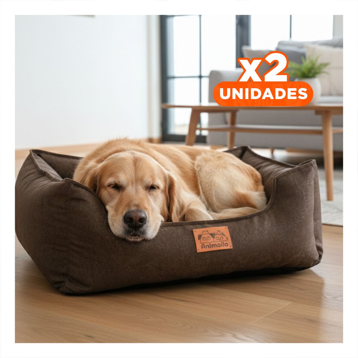 PACK2 DESCANSO MARRON PARA PERRO TALLA S CON COMPLETO Y+REGALO STICKER - 1