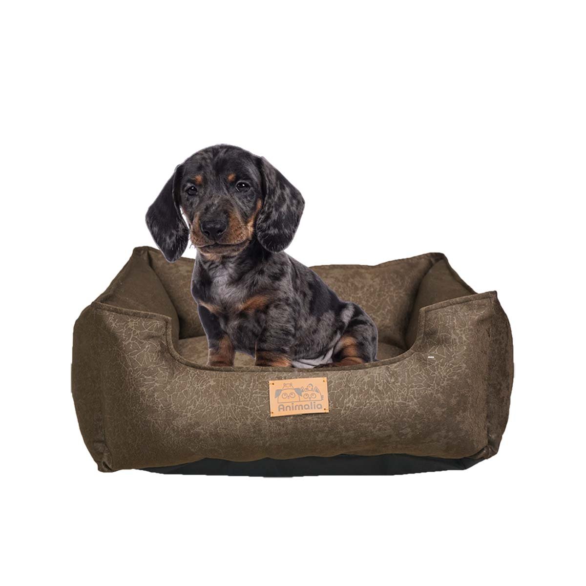 PACK2 DESCANSO MARRON PARA PERRO TALLA S CON COMPLETO Y+REGALO STICKER - 2