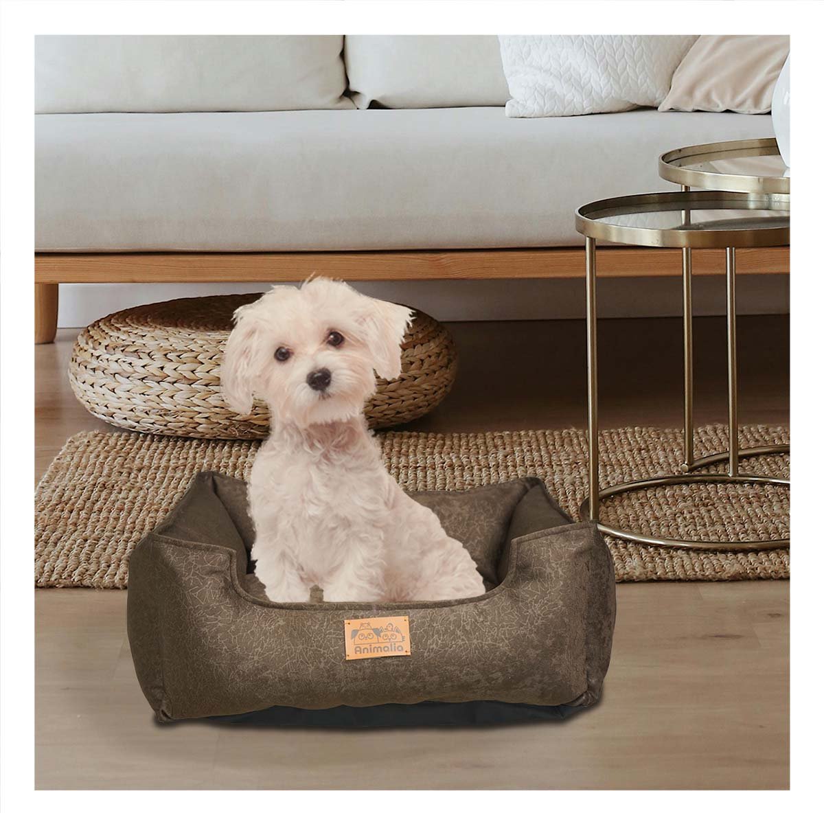 PACK2 DESCANSO MARRON PARA PERRO TALLA S CON COMPLETO Y+REGALO STICKER - 3