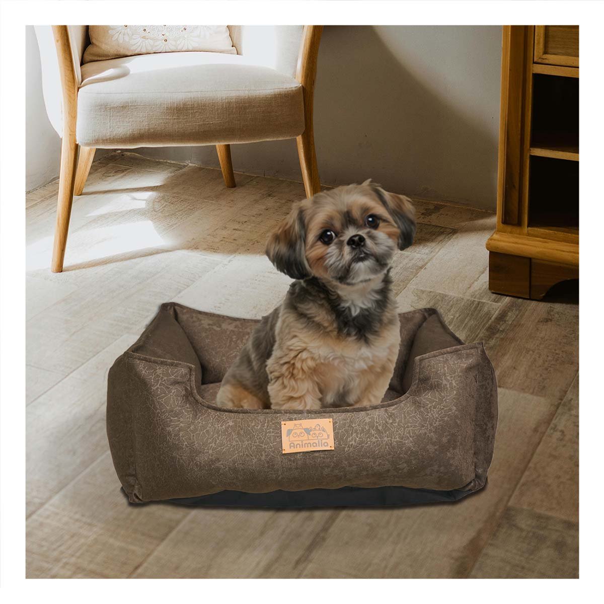 PACK2 DESCANSO MARRON PARA PERRO TALLA S CON COMPLETO Y+REGALO STICKER - 5