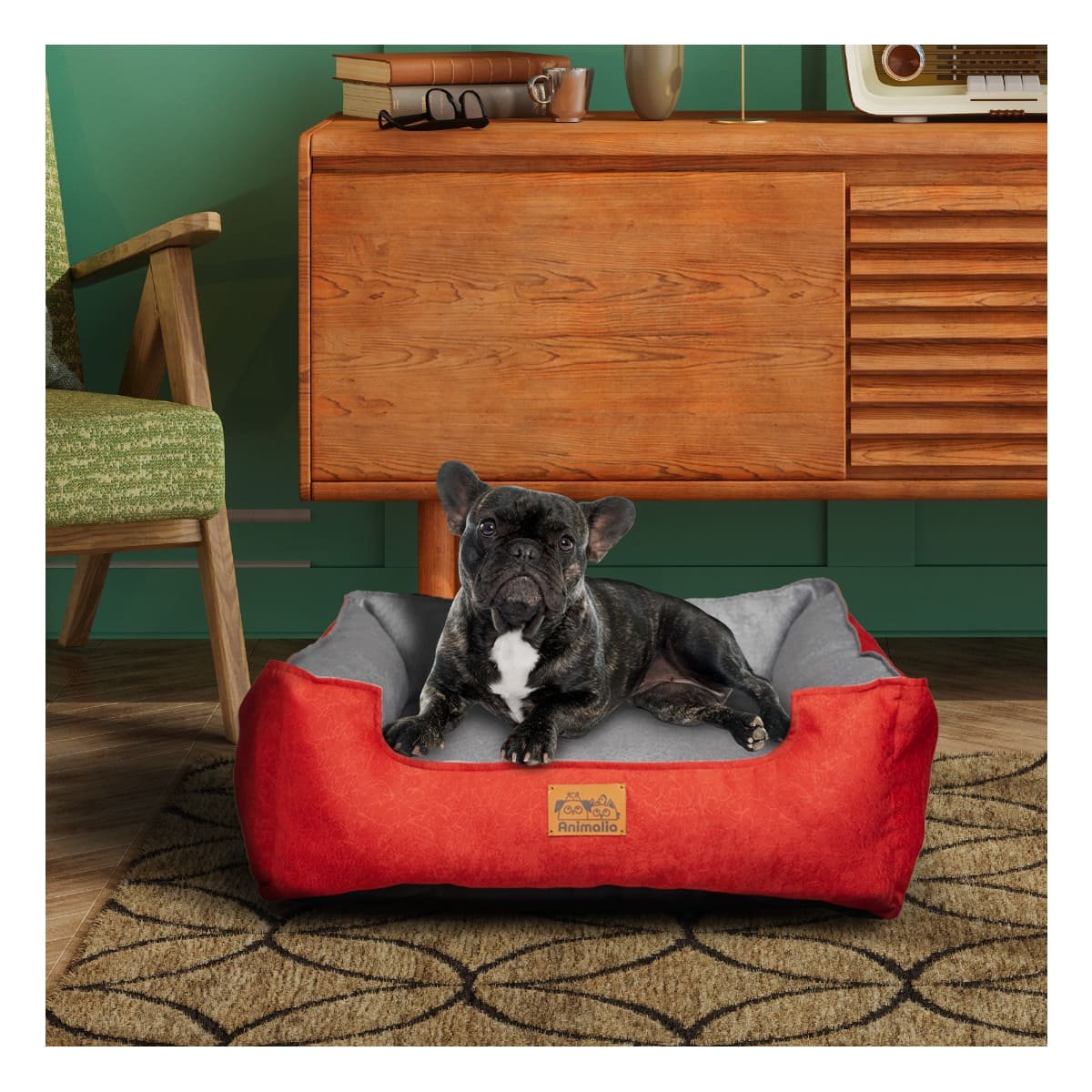 PACK6 SUPERFICIE ROJO LABRADO PARA PERRO TALLA S CON CENTRO PLOMO - 5