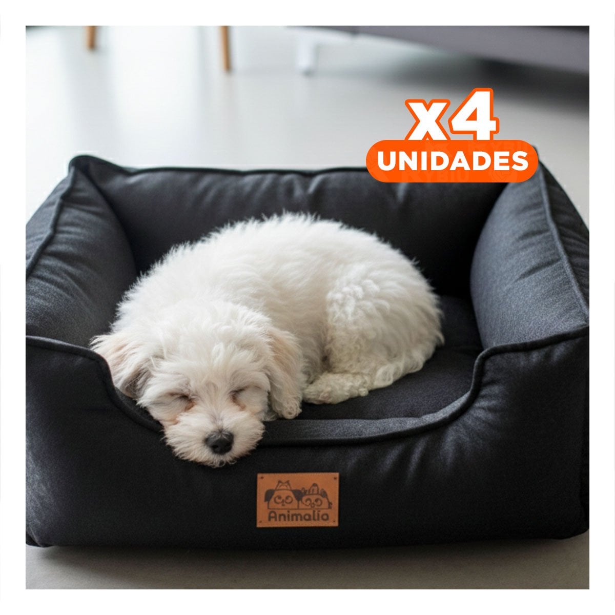 PACK4 BASE NEGRO PARA PERRO TALLA S CON COMPLETO - 1