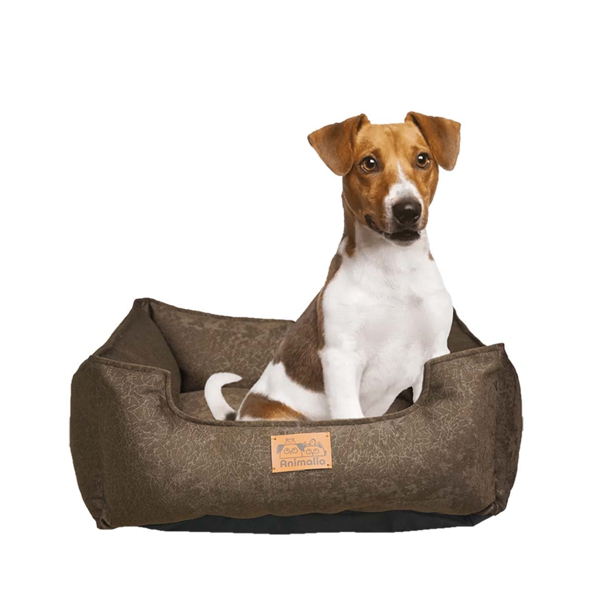 PACK6 ZONA MARRON PARA PERRO TALLA S CON COMPLETO Y+REGALO STICKER - 2