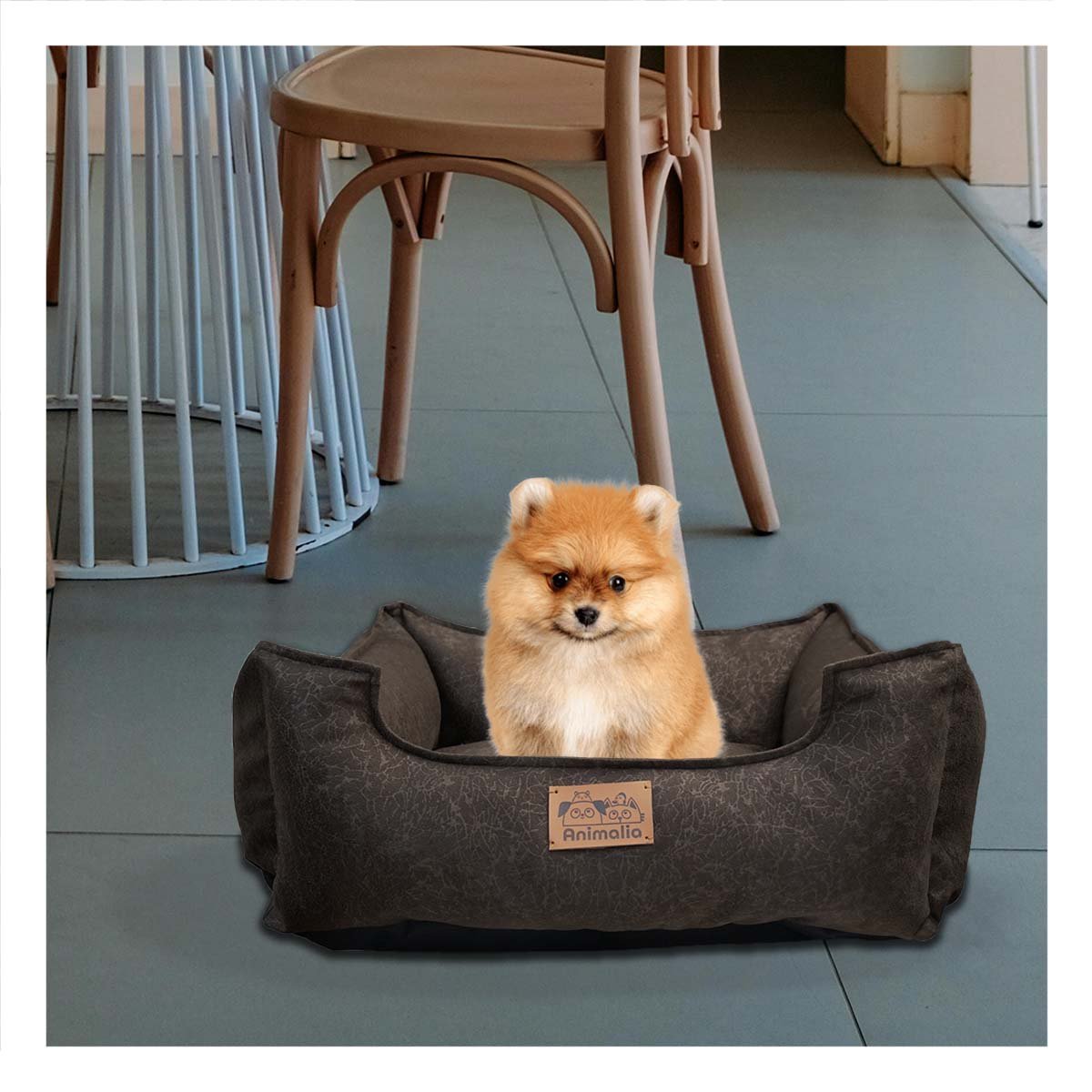 PACK6 ZONA MARRON PARA PERRO TALLA S CON COMPLETO Y+REGALO STICKER - 3
