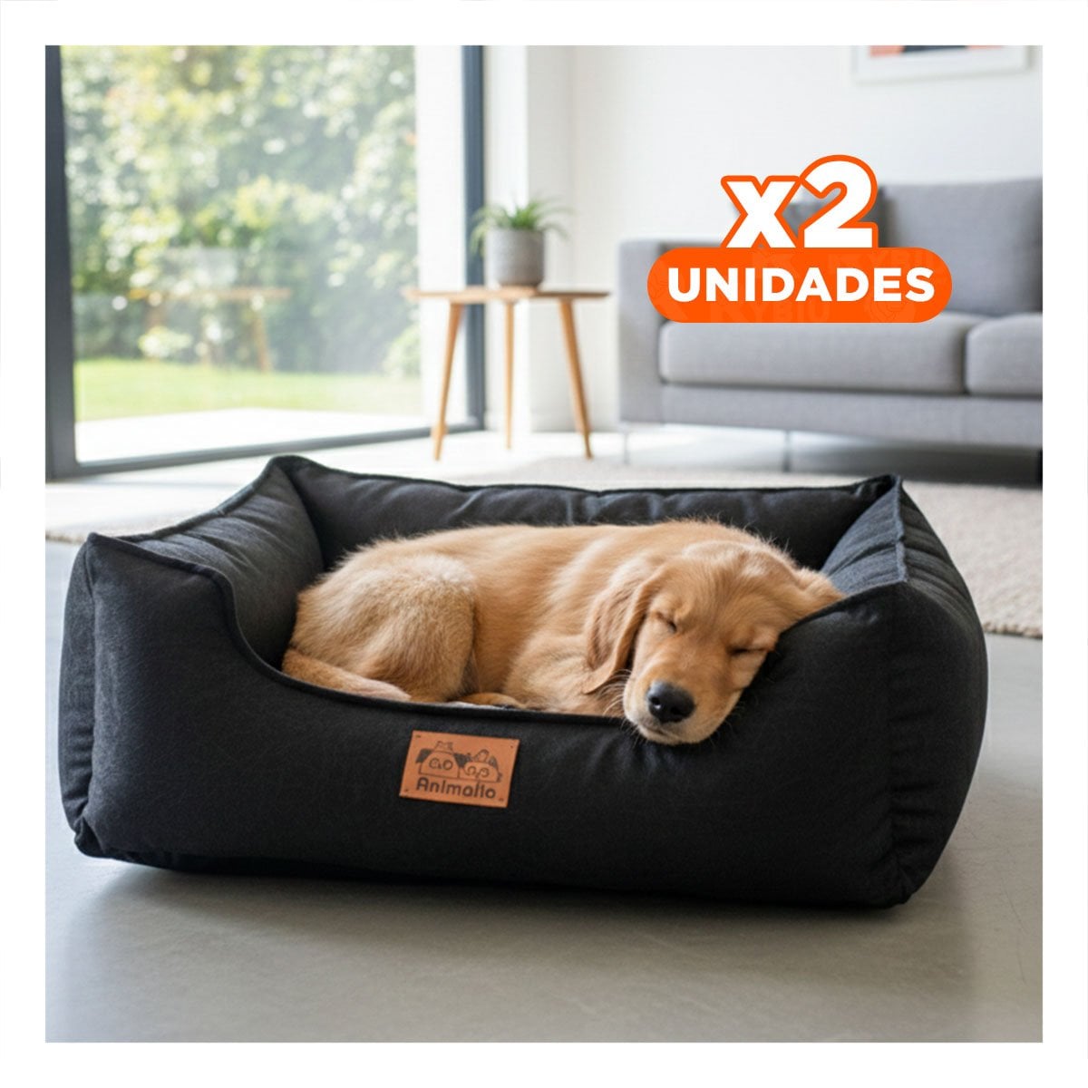 PACK2 DESCANSO NEGRO PARA PERRO TALLA S CON COMPLETO Y+REGALO STICKER - 1