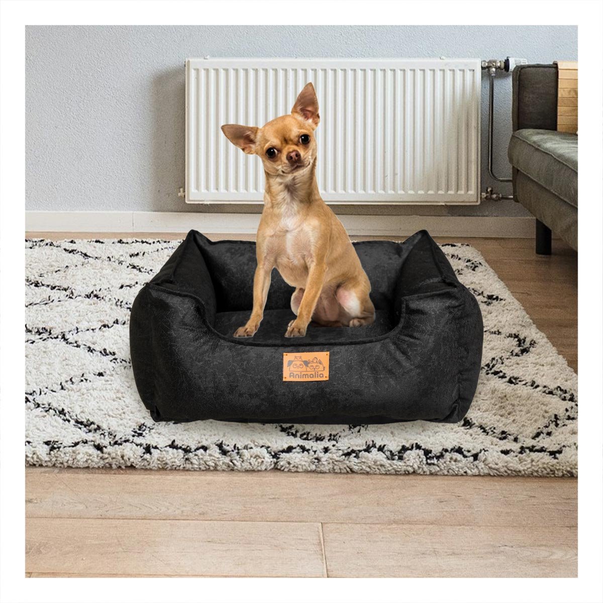 PACK6 AREA NEGRO PARA PERRO TALLA S CON COMPLETO Y+PAPEL REGALO - 5