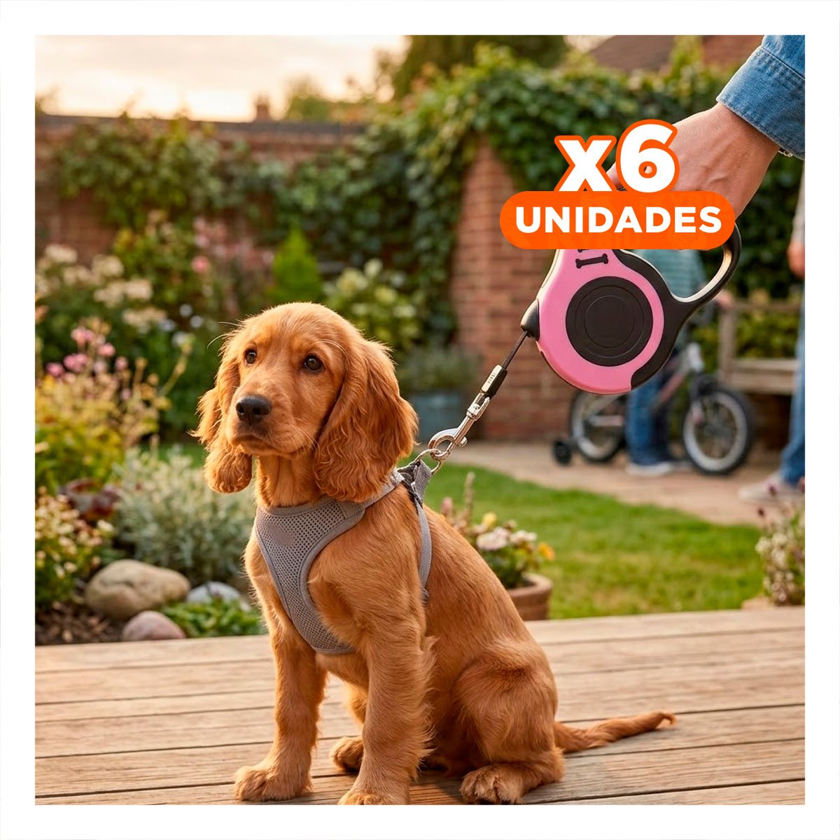PACK6 LAZO AJUSTABLE ROSADO 3 METROS PARA PERROS CON LONGITUD 3 METROS Y+REGALO STICKER - 1